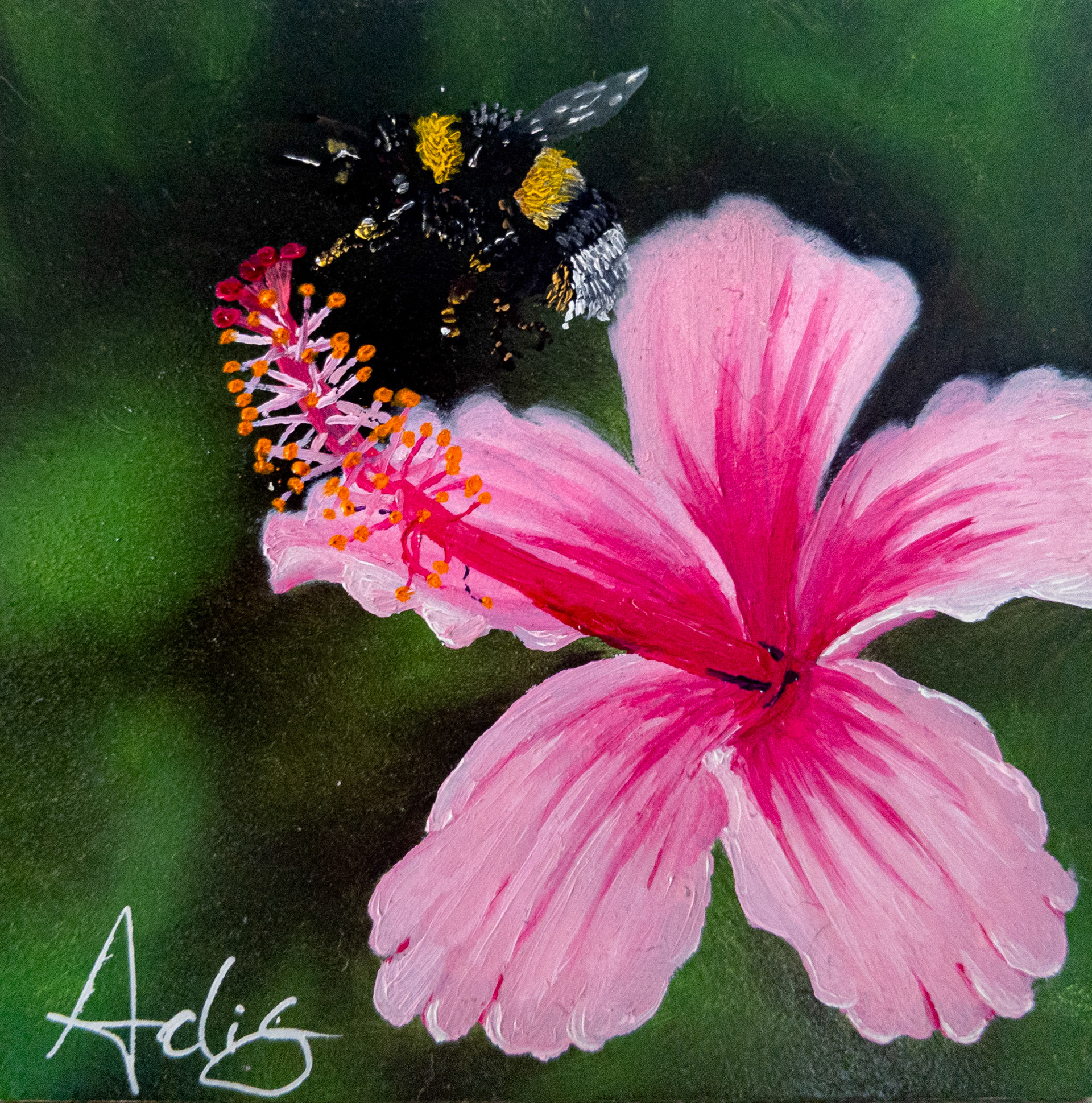 Sting Like a Bee Hibiscus - 4"x4" Oil on Panel SOLD