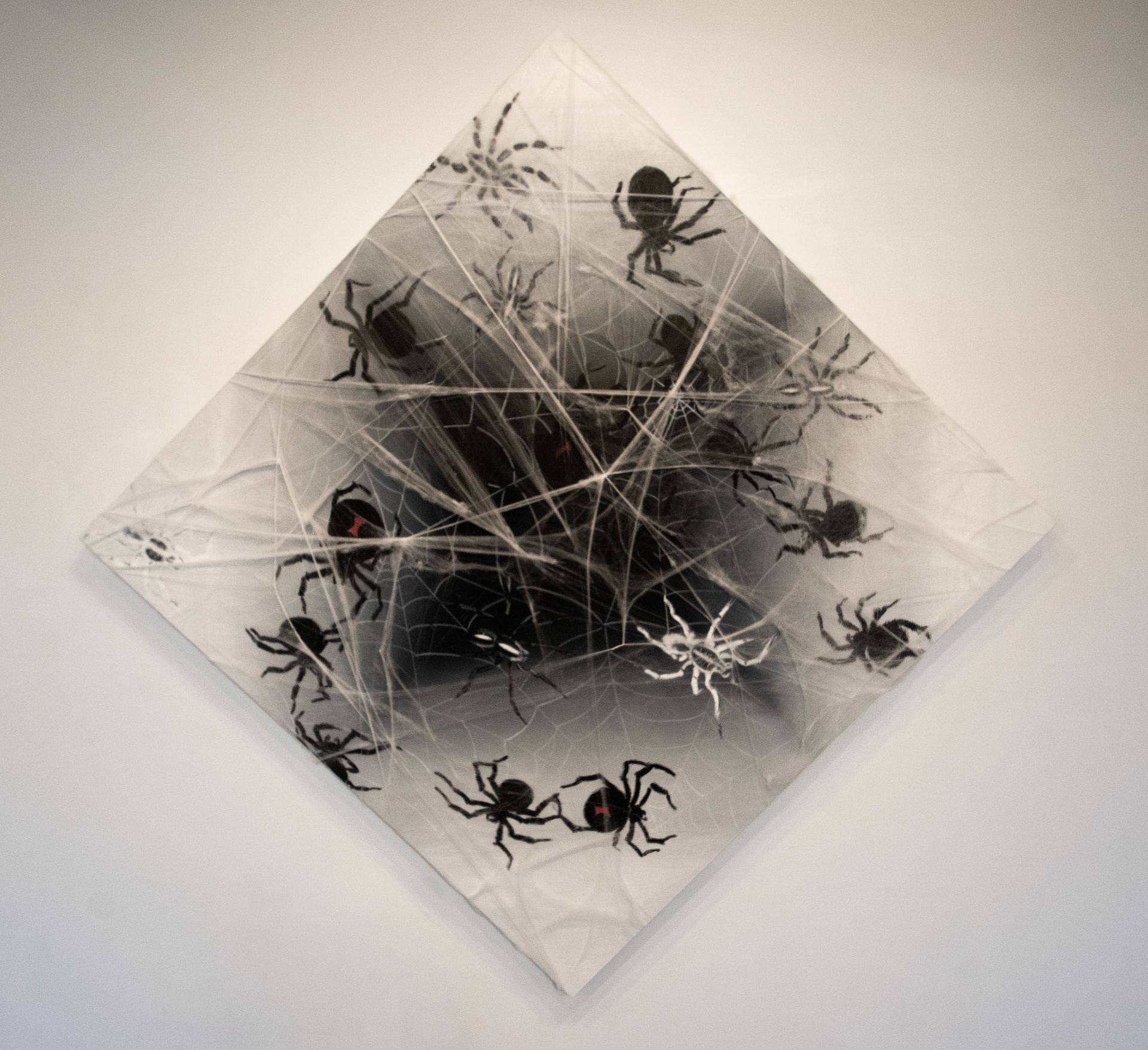 "Arachnophobia" 5ft x 5ft, Oil and Cotton on Canvas $2000
