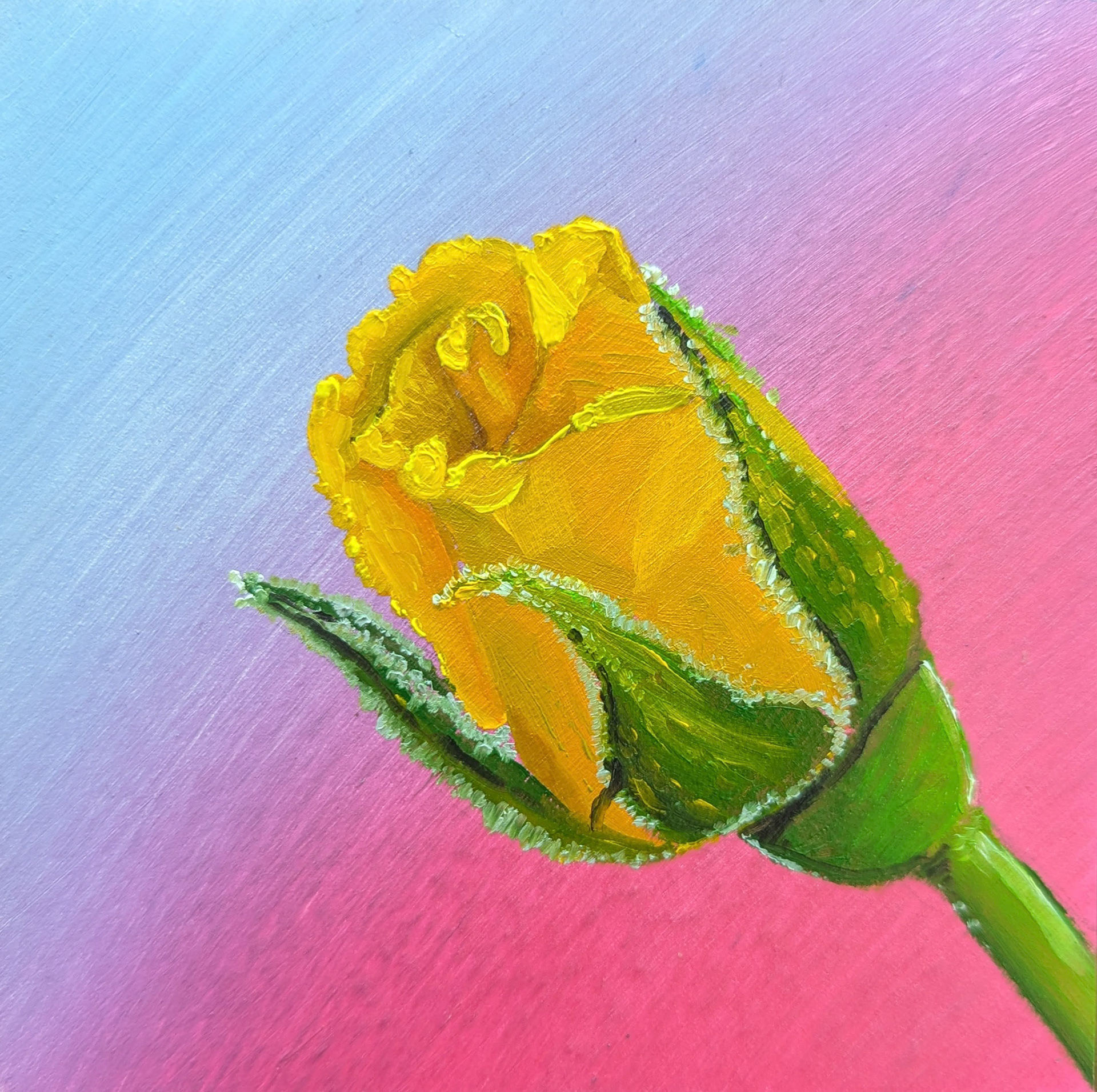 Miniature Flower Bud 4"x4" Oil on Panel Framed $80
