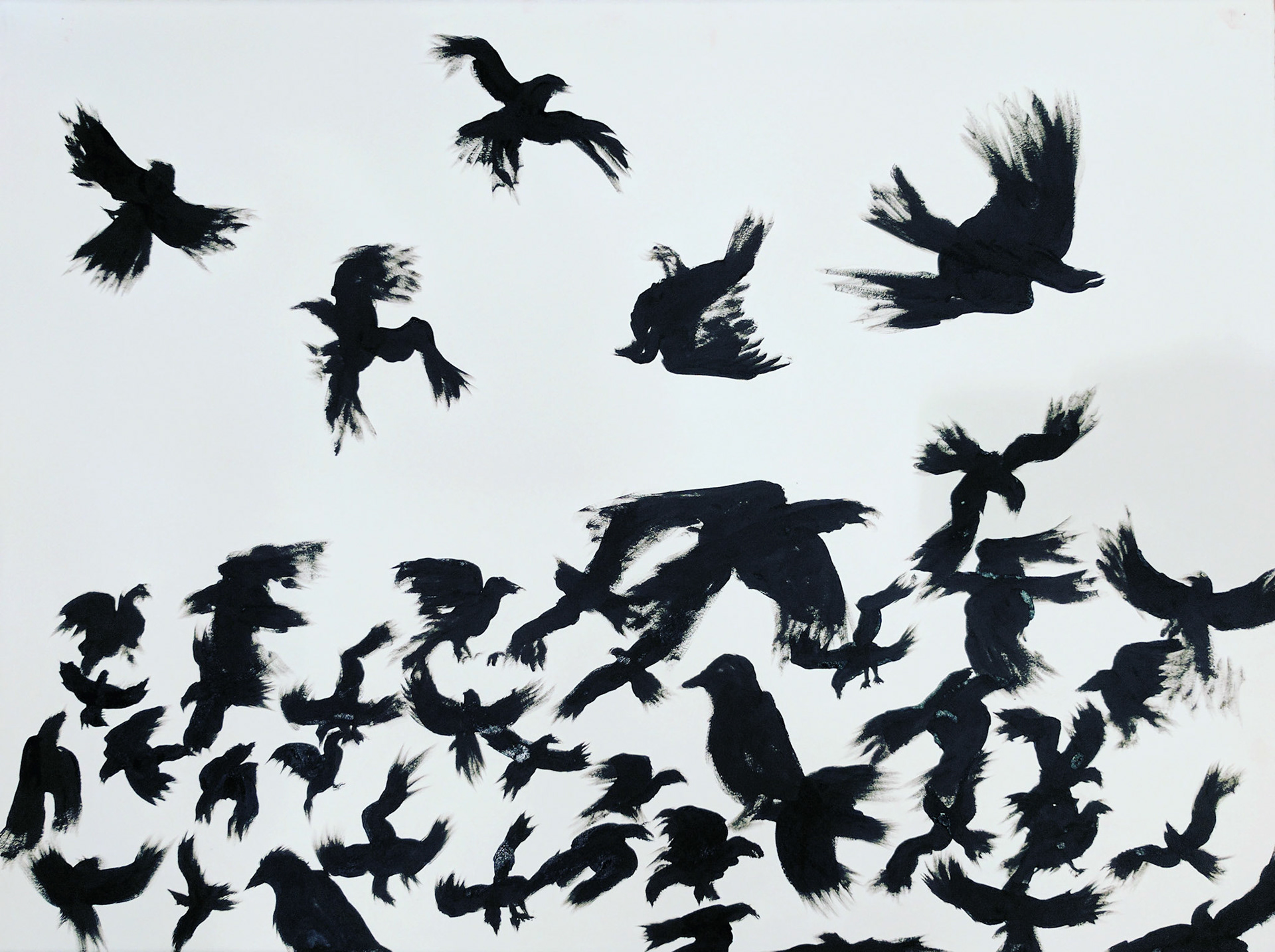 Ink Study - Crows 26"x20" Enamel Ink on Paper $200