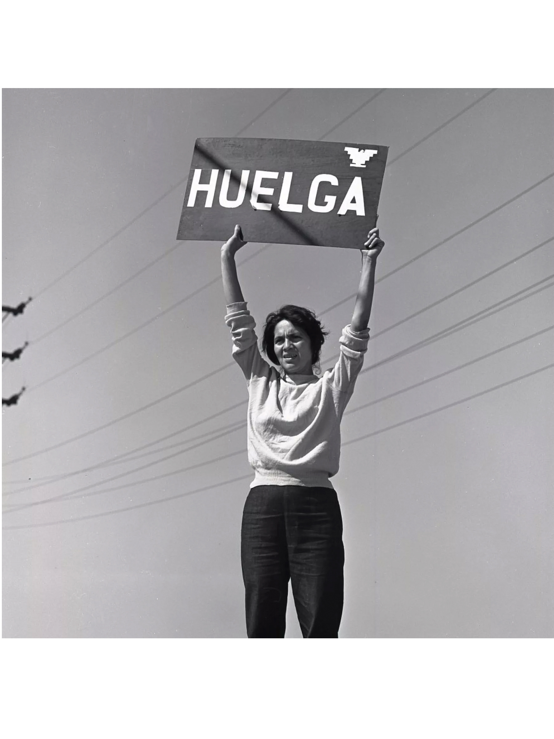 Dolores Huerta (née en 1930) est une syndicaliste américaine d'origine latino et cofondatrice de l'UFW (United Farm Workers). Elle est reconnue pour son combat infatigable pour les droits des travailleurs agricoles et d'autres minorités. C'est une activiste qui a consacré sa vie à organiser les communautés et à défendre les droits des immigrés, des femmes, des jeunes en situation de risque et de la communauté LGBTQ+. Pionnière du mouvement féministe, elle a popularisé le célèbre slogan « ¡Sí, se puede! » (« Oui, c'est possible ! »). Elle a été agressée et arrêtée à de nombreuses reprises pour son militantisme. Photo : Harvey Richards Media Archive