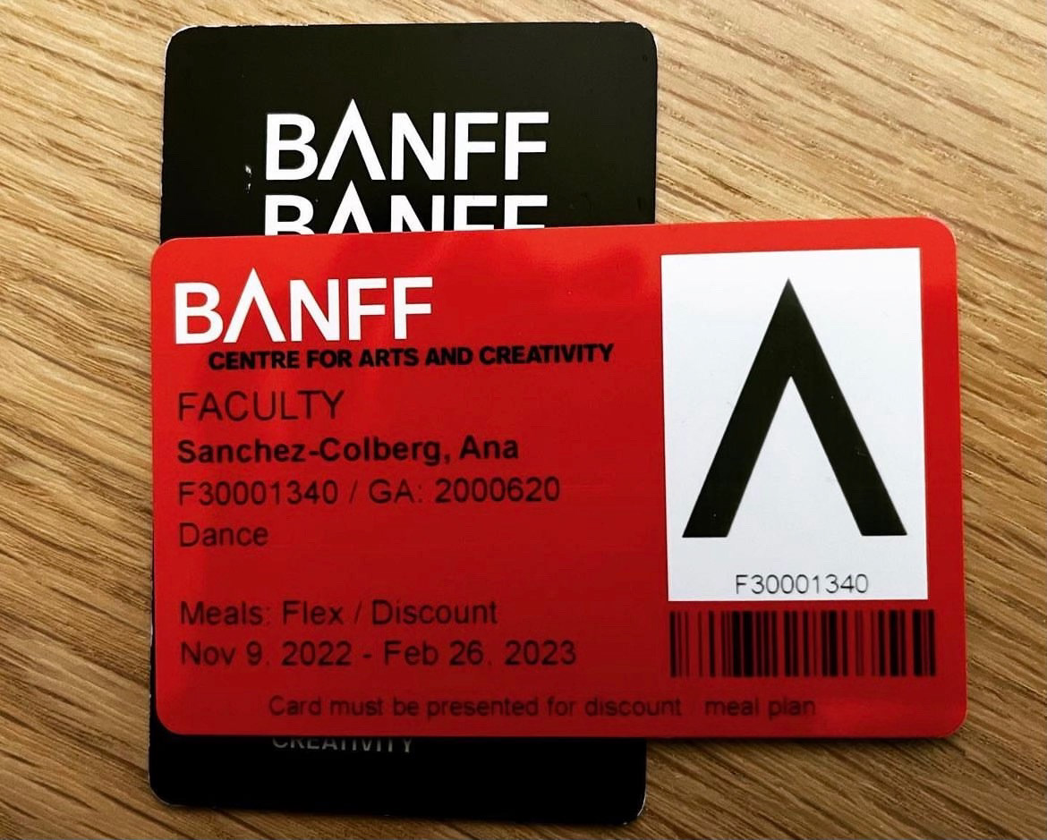 Photo of two ID cards
