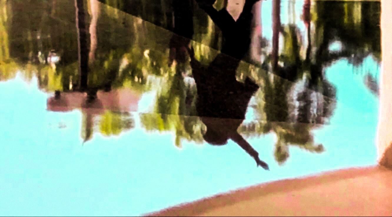 Colourgraphies 3: Liquid earth. Grass Stains, Miami, FL (2020)