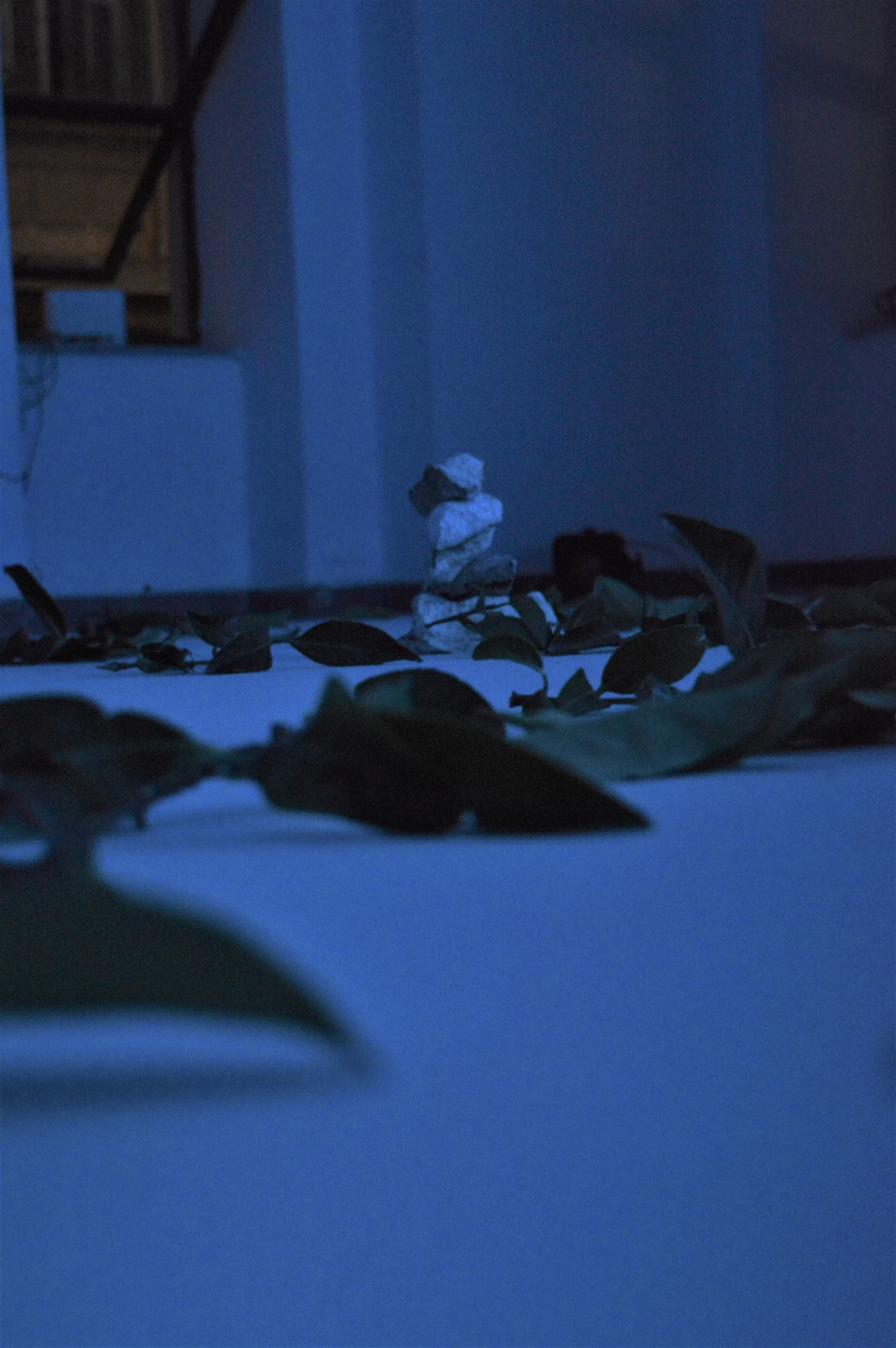 Stage 3- Inside Garden, Reference to J(us)stAn[other]5, Exarchia.