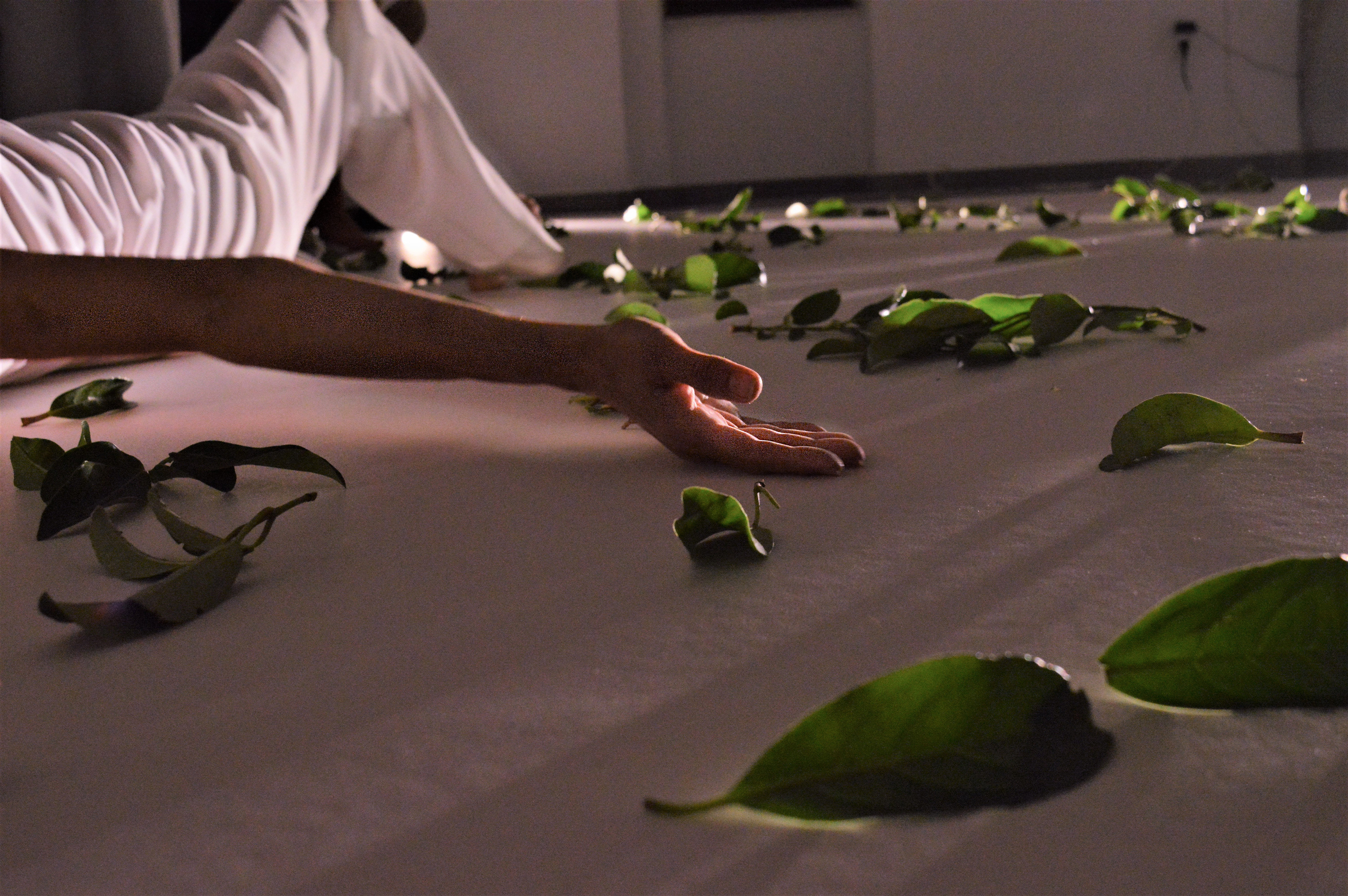 Stage 3- Inside Garden, Reference to J(us)stAn[other]5, Exarchia.