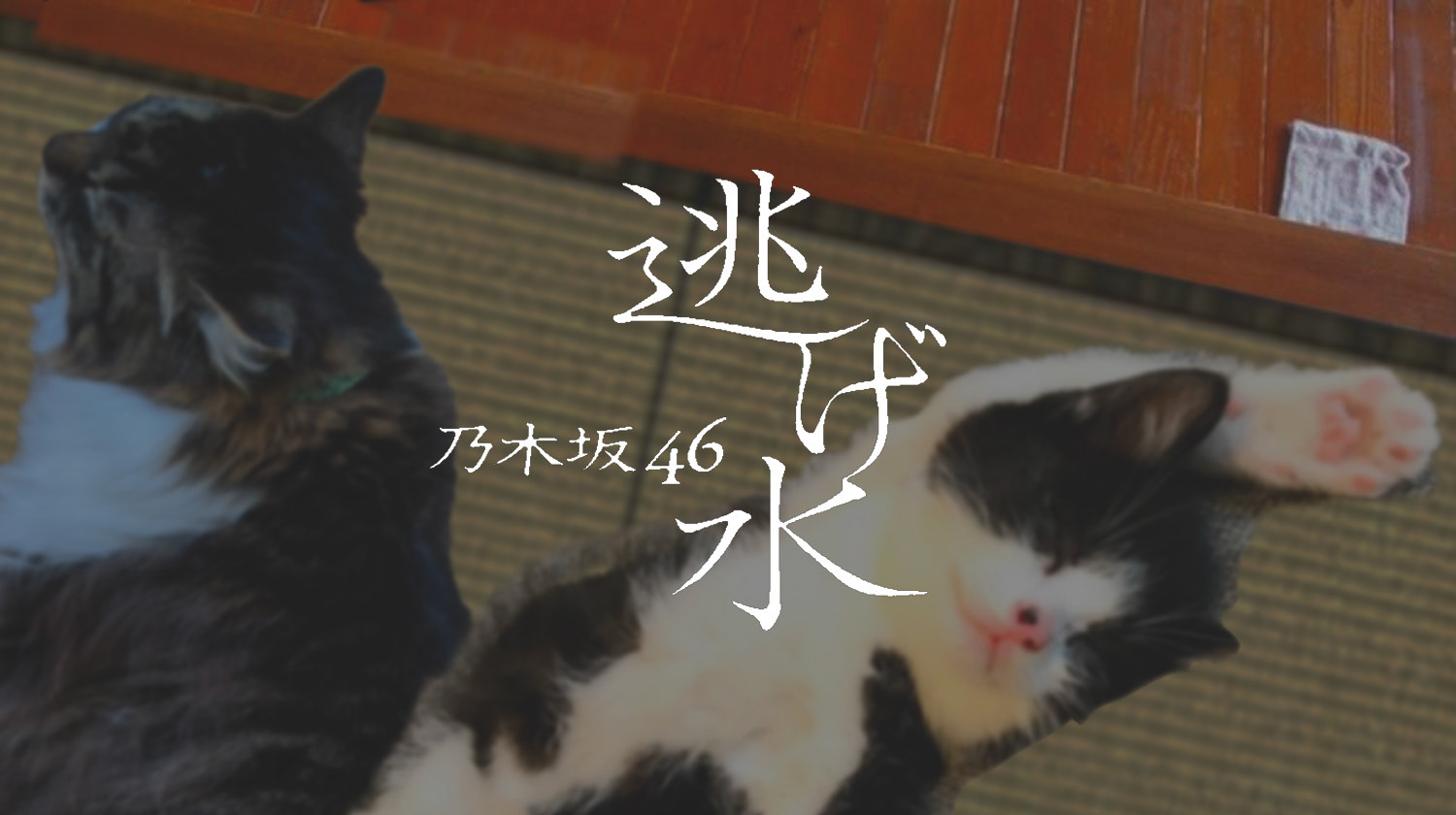 ねこ版 逃げ水