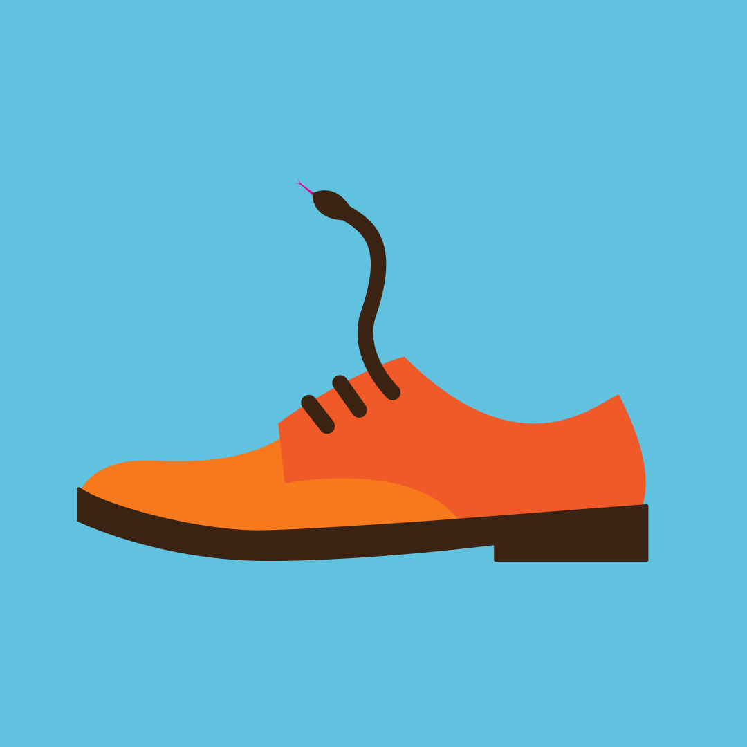 shoelace-snake-conceptual illustration by AgaGrandowicz-agrand.