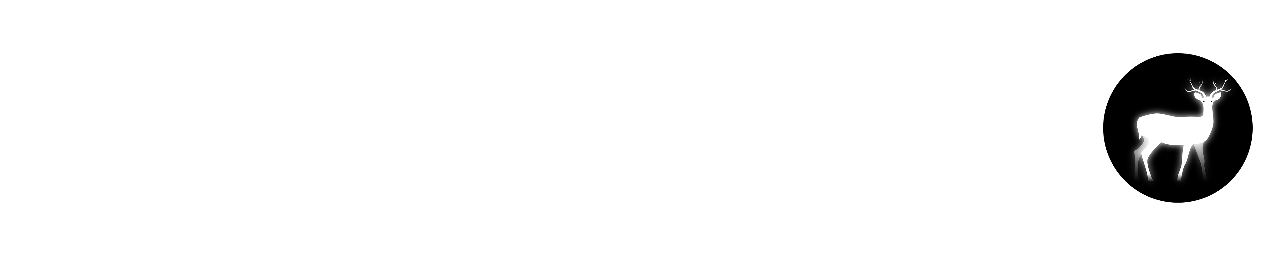 Shiny Creature Studio