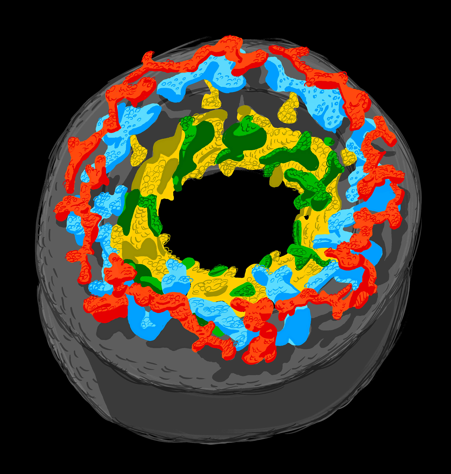 Nuclear Pore Complex