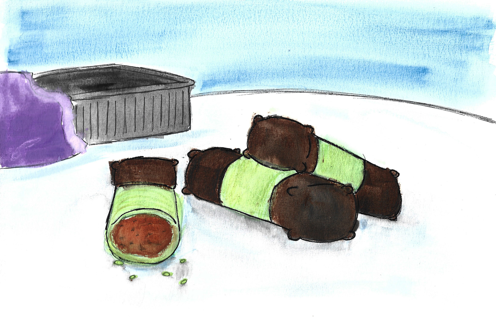 Punsch-rolls (graphite pencil, fineliners, markers, watercolours and aquarelle crayons)