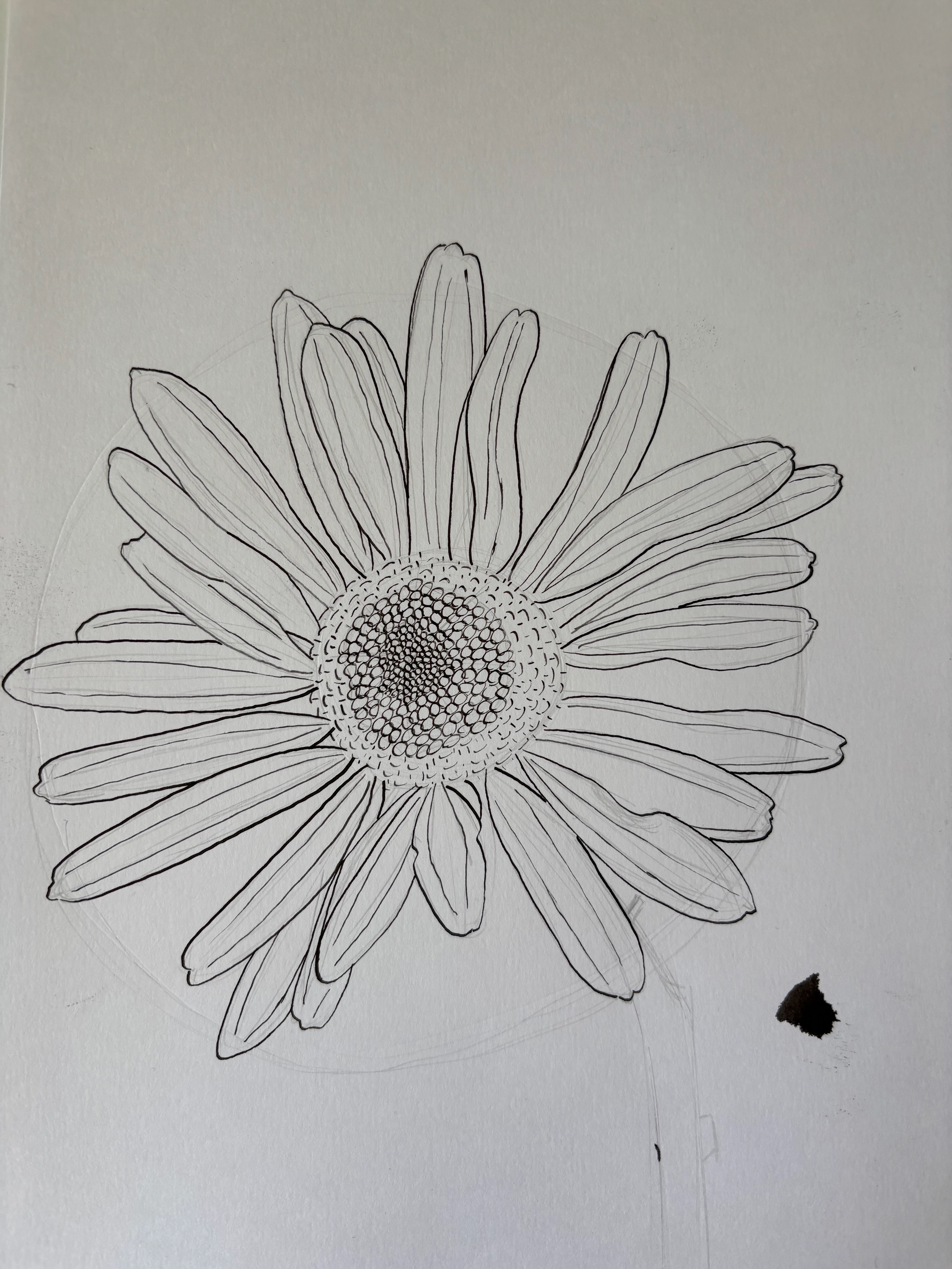 Daisy (WIP)