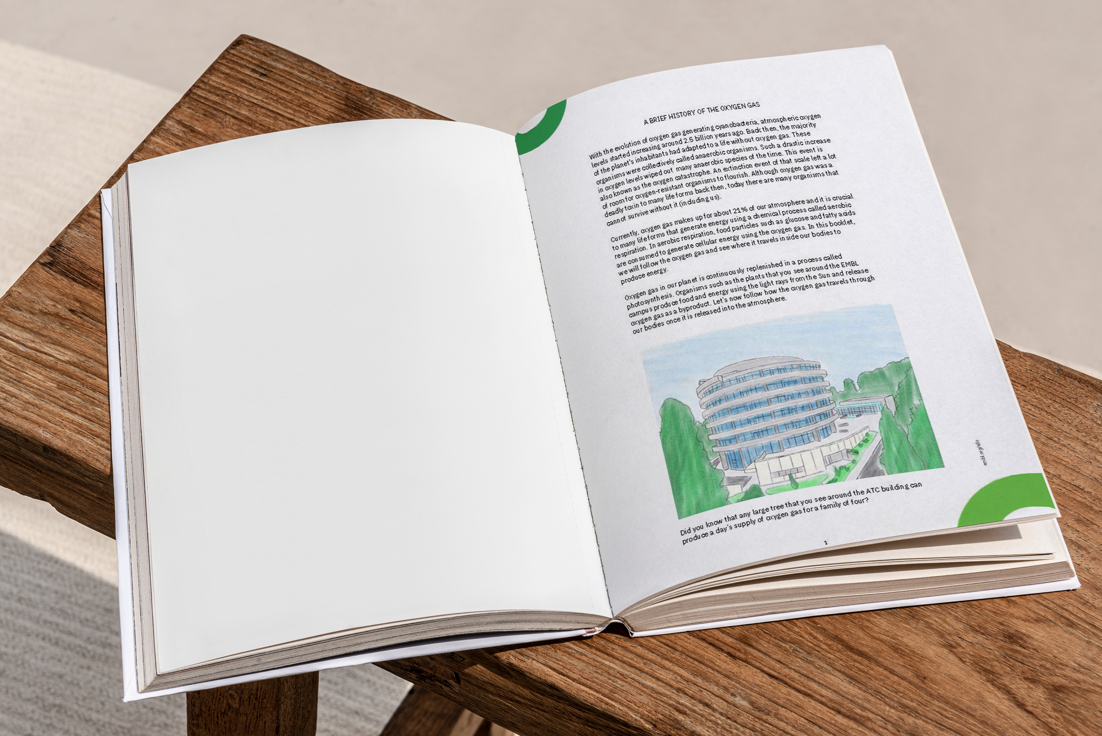 Mock-up of Book