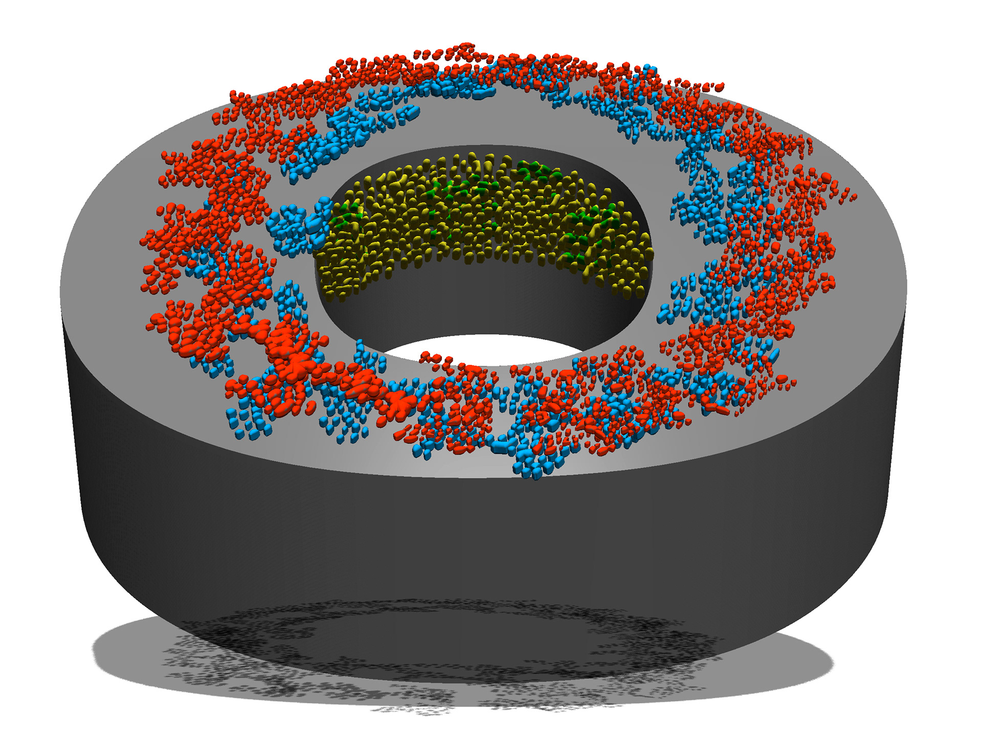 Nuclear Pore Complexes (NPC)