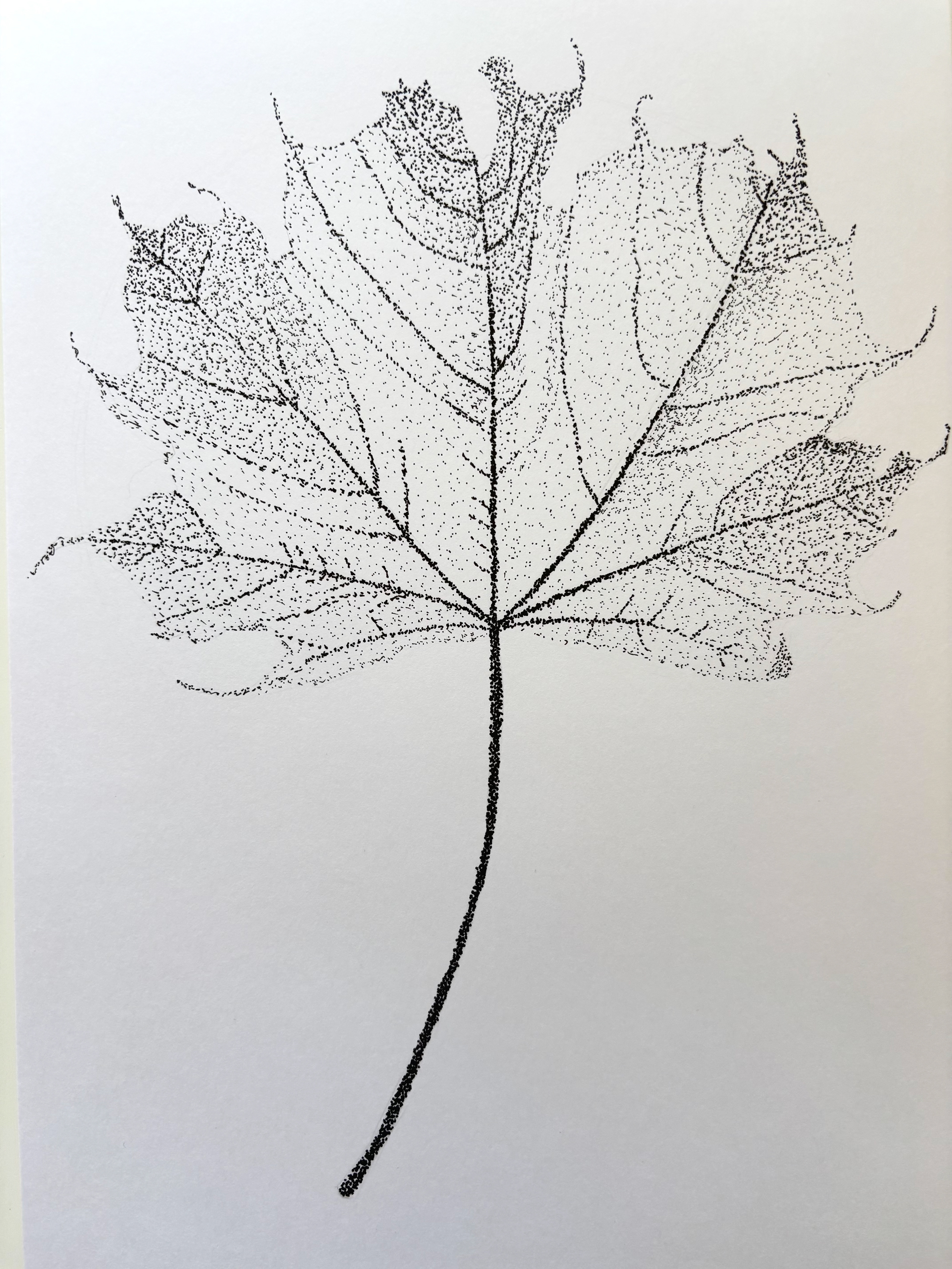 Maple leaf (dotted, WIP)