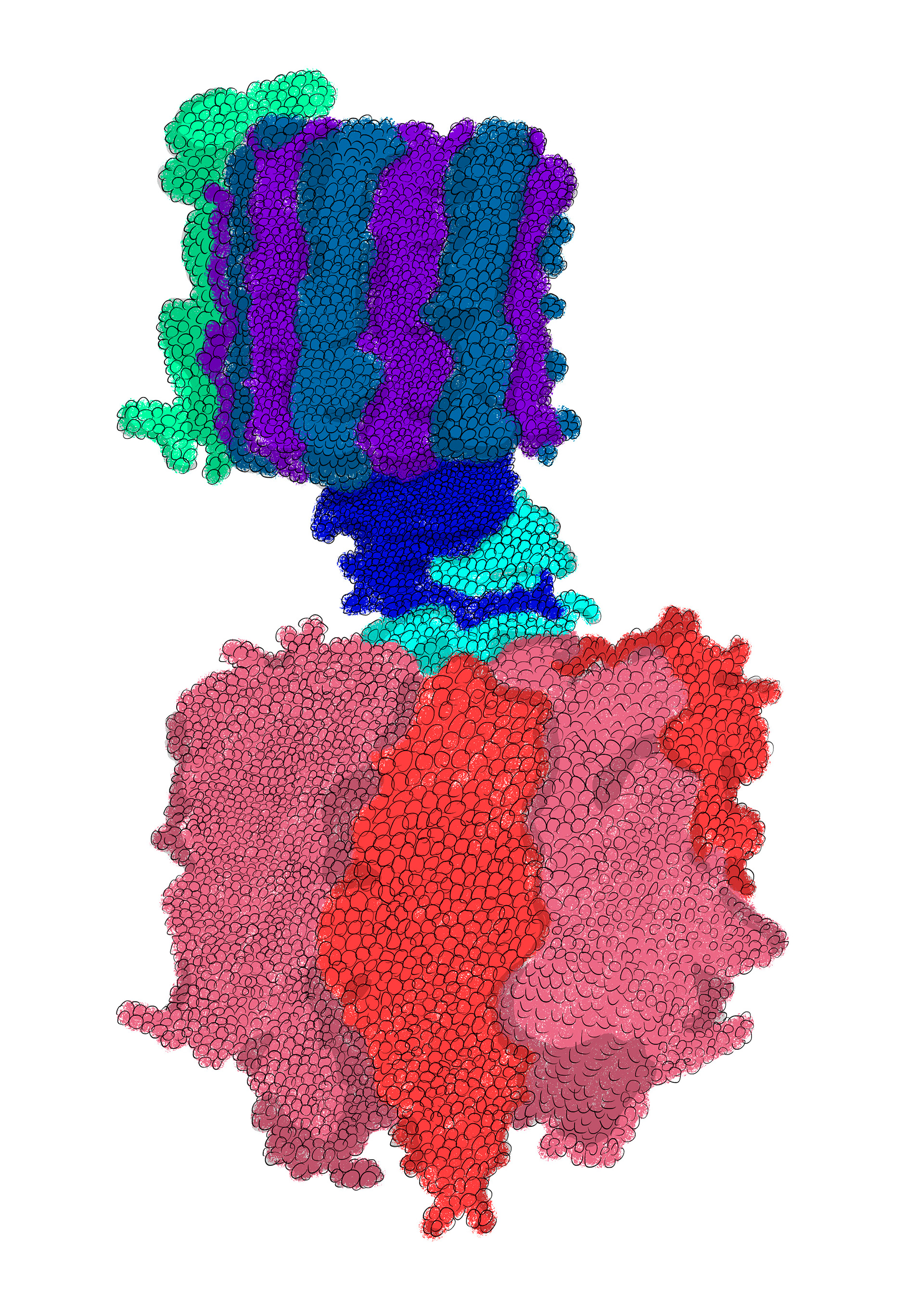 Inner Membrane Mitochondria
