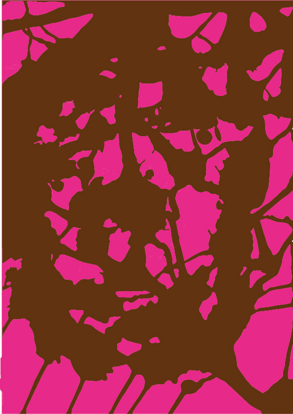 Splash design 6