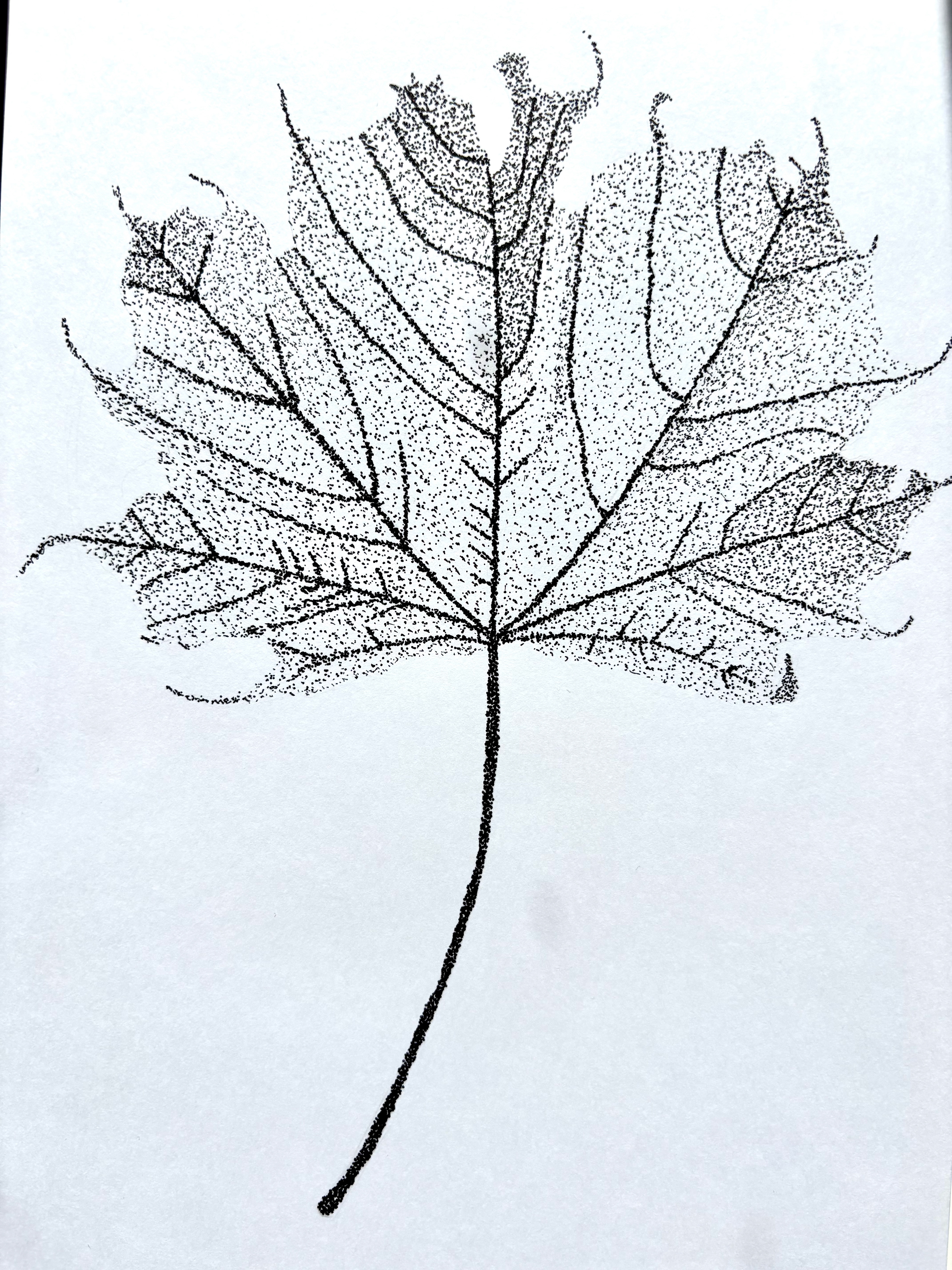 Maple leaf (dotted)