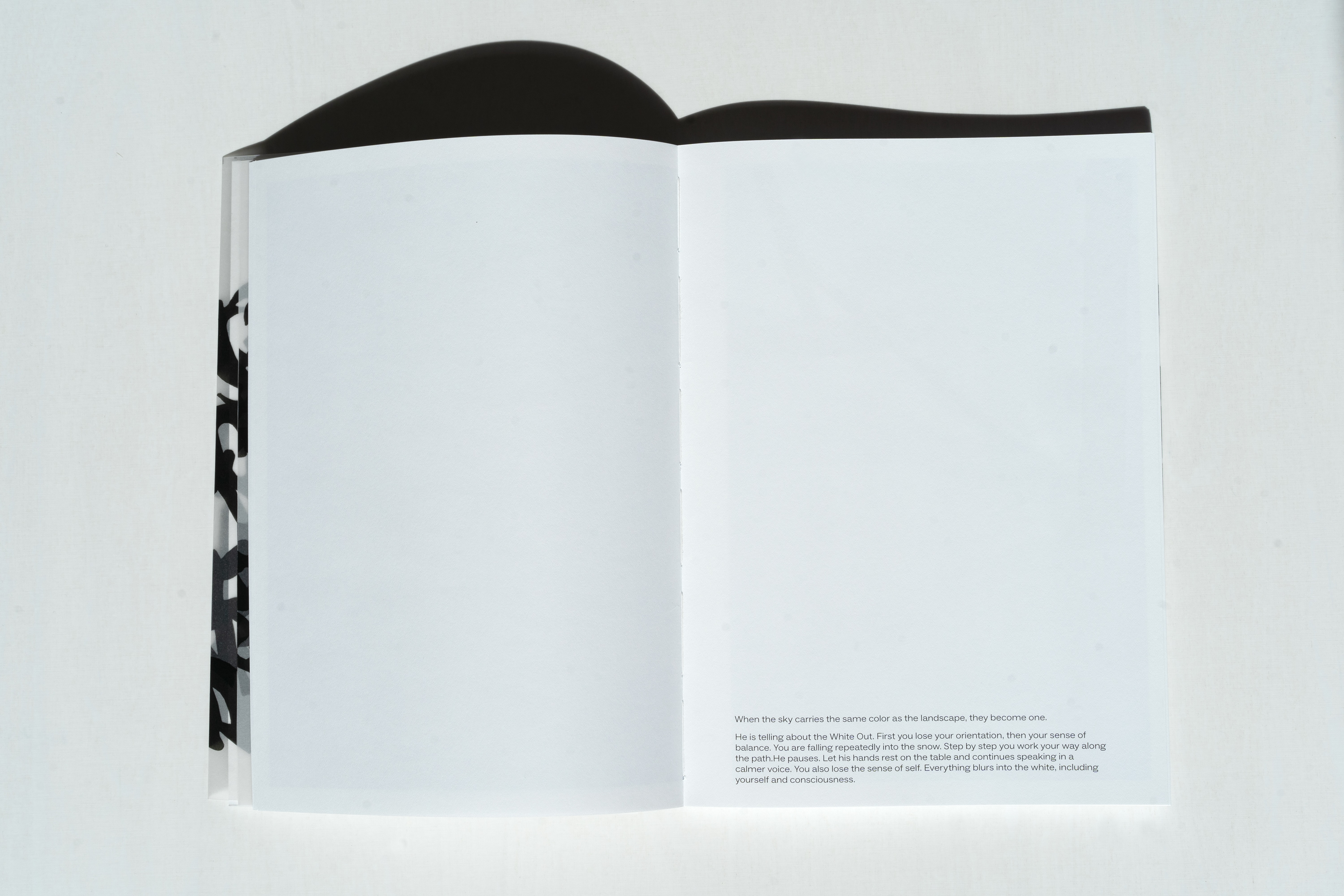 repro book- "text about the White Out"