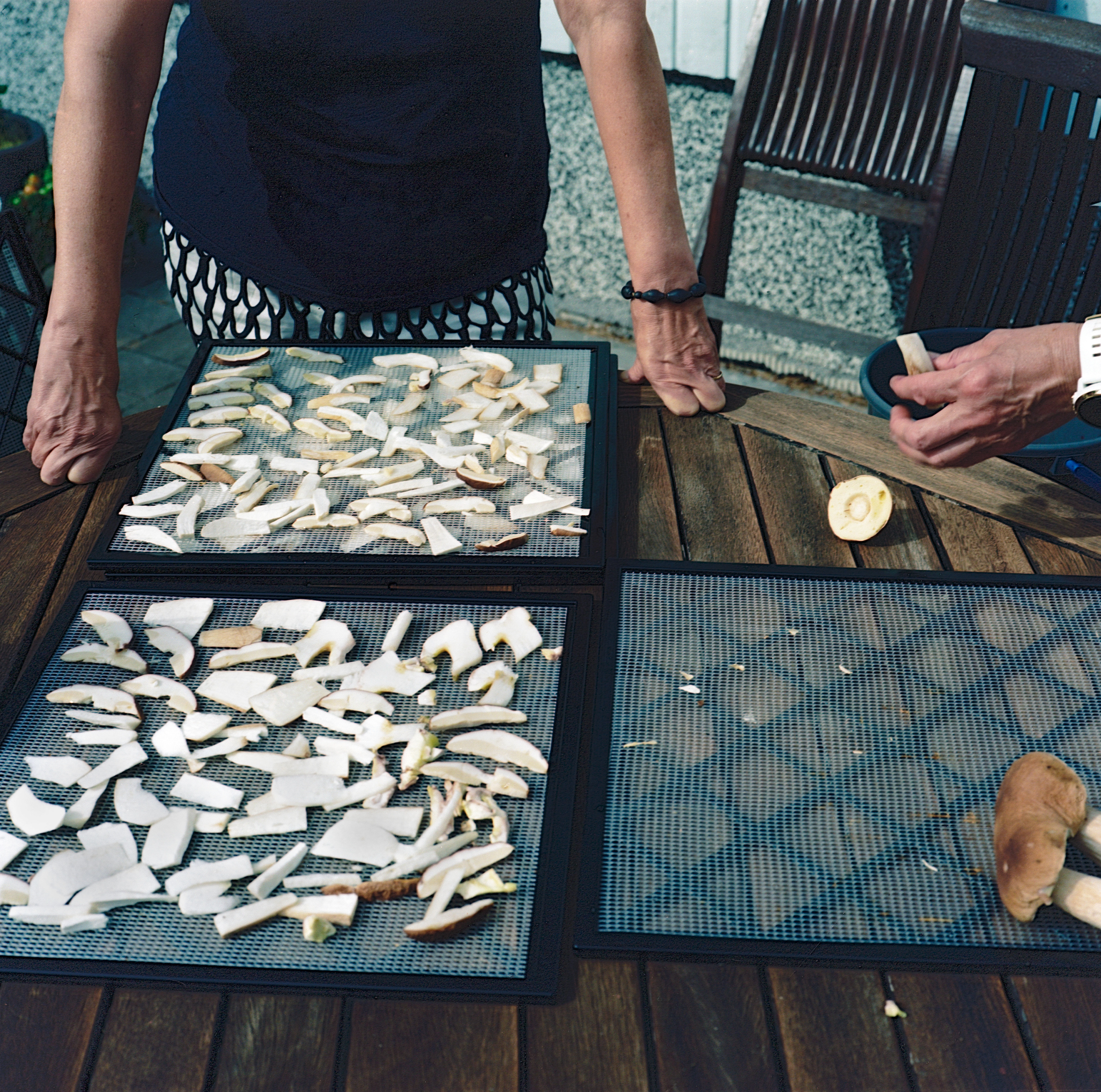 "my mum and Päivi drying mushrooms"