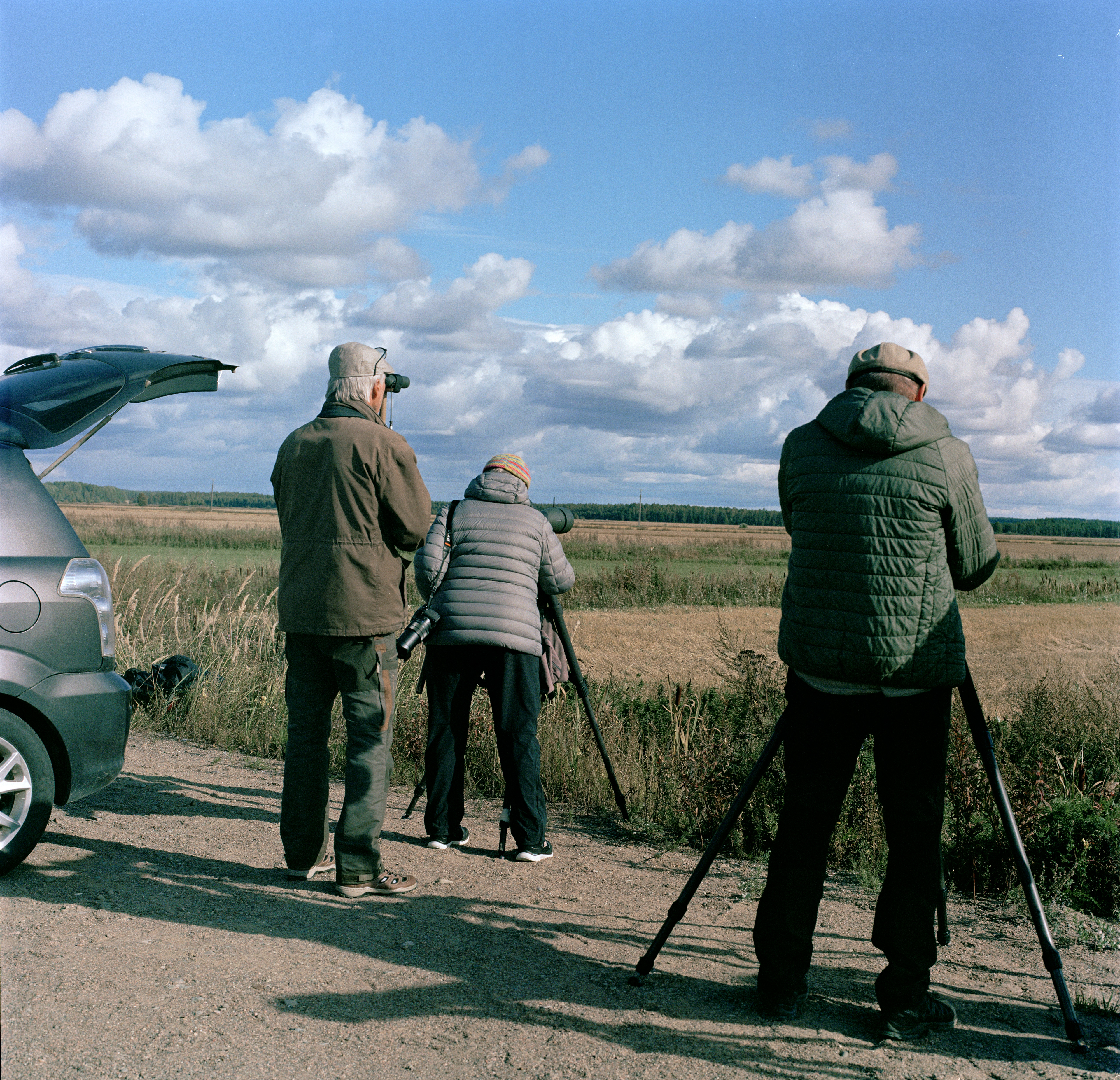 "elderly people watching birds"