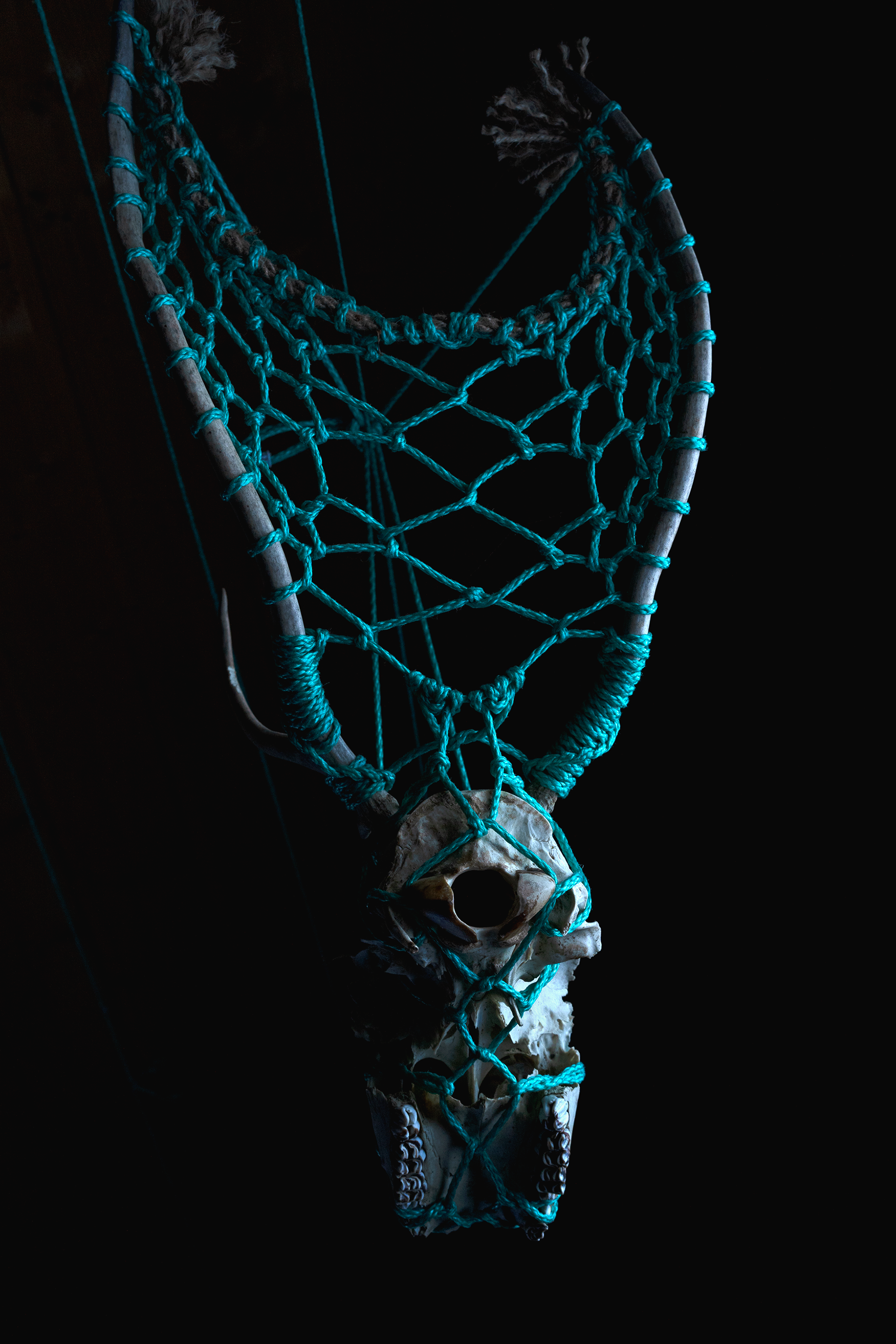 "hanging rendeeir head"