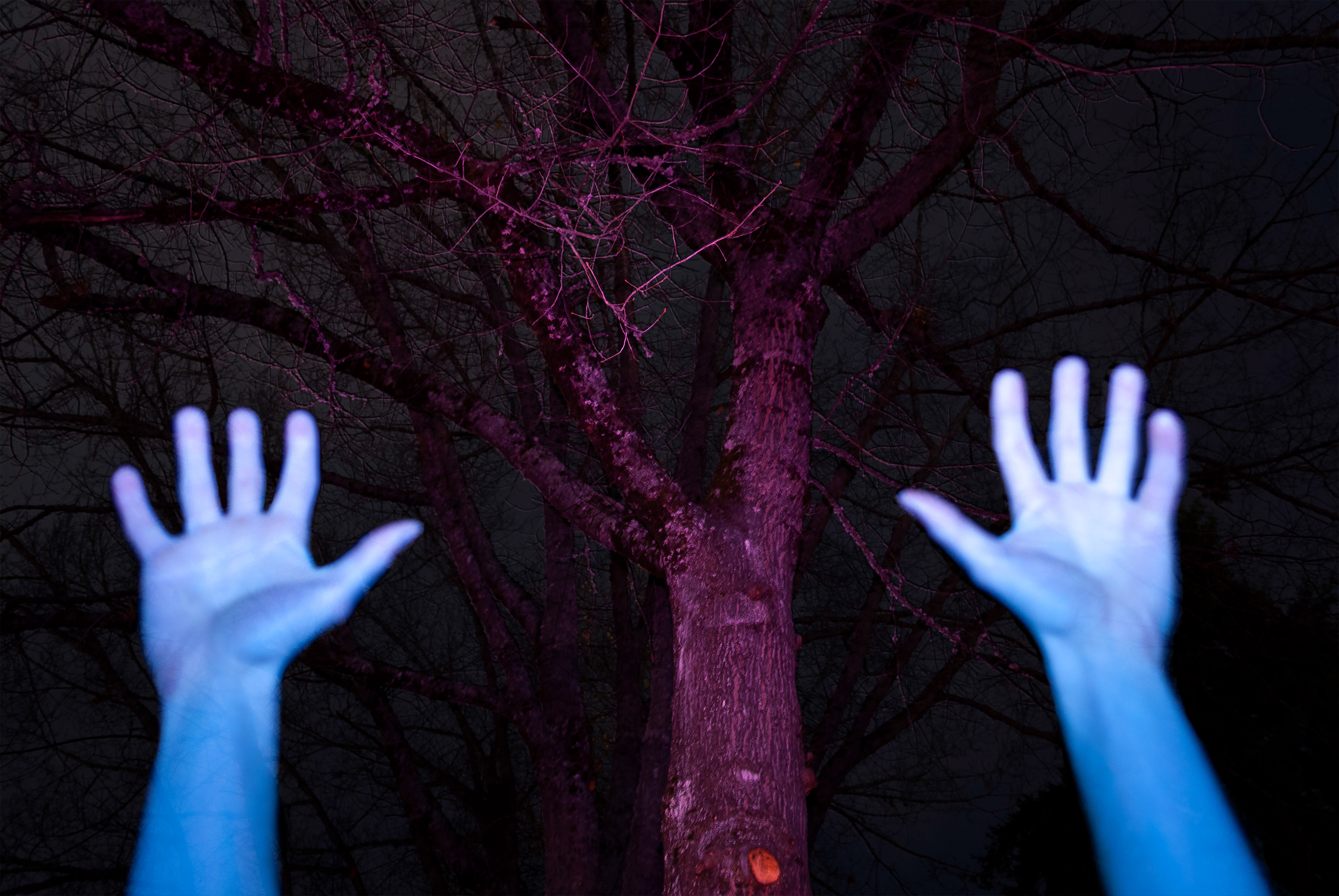 "Colored Flashes" / 2019