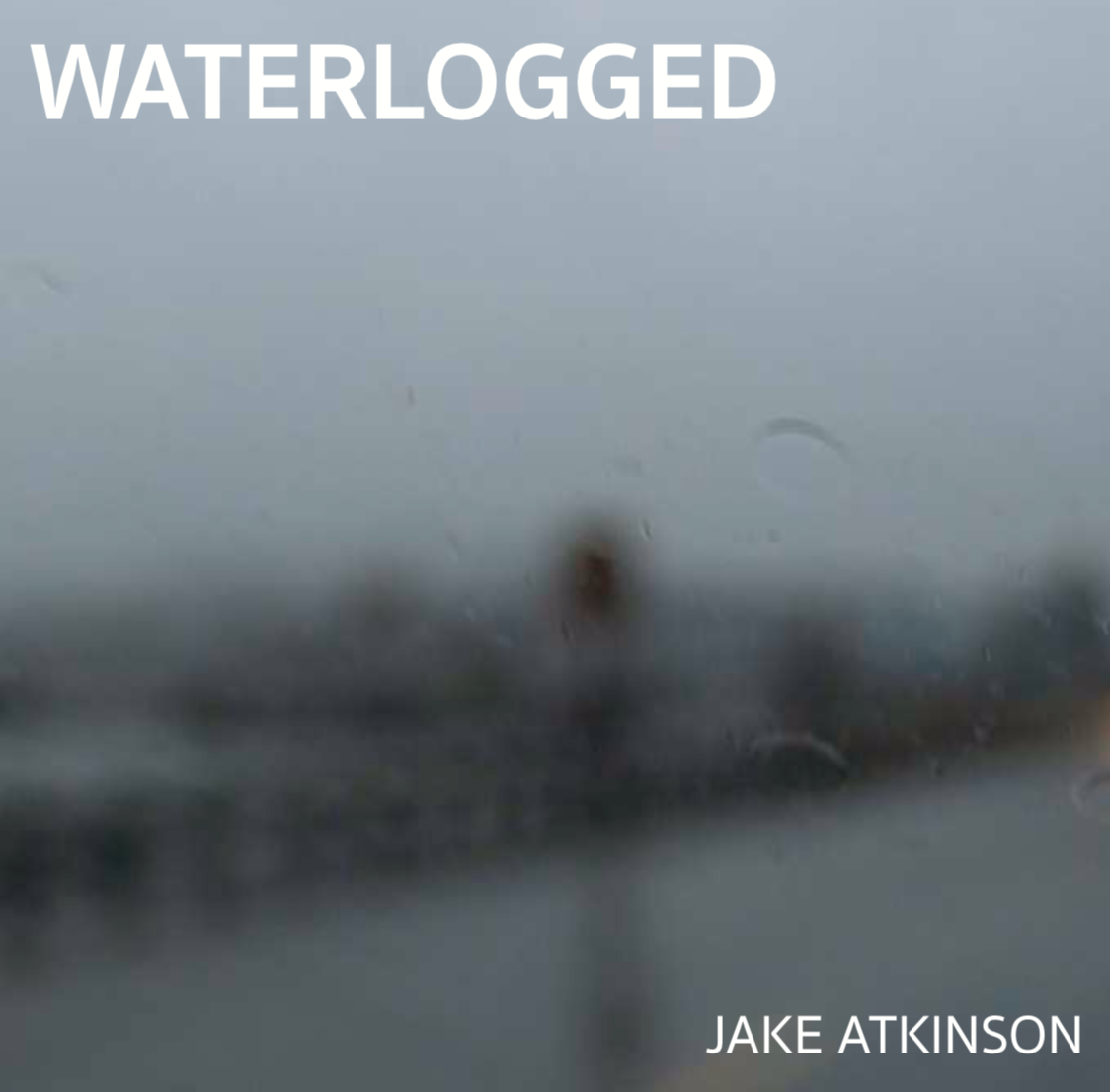 Hard Cover of "Waterlogged" 2019