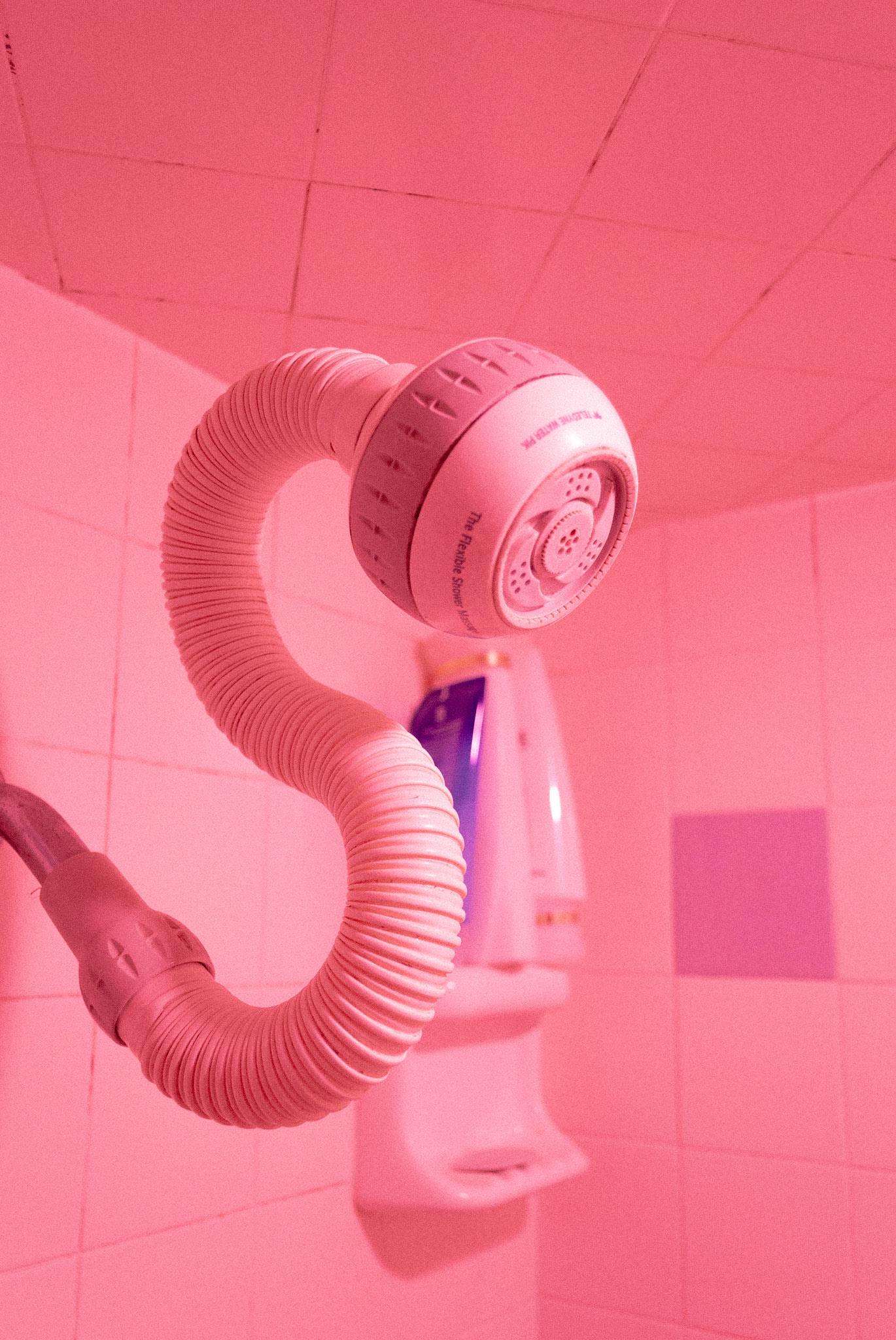 "Shower Head" / 2018