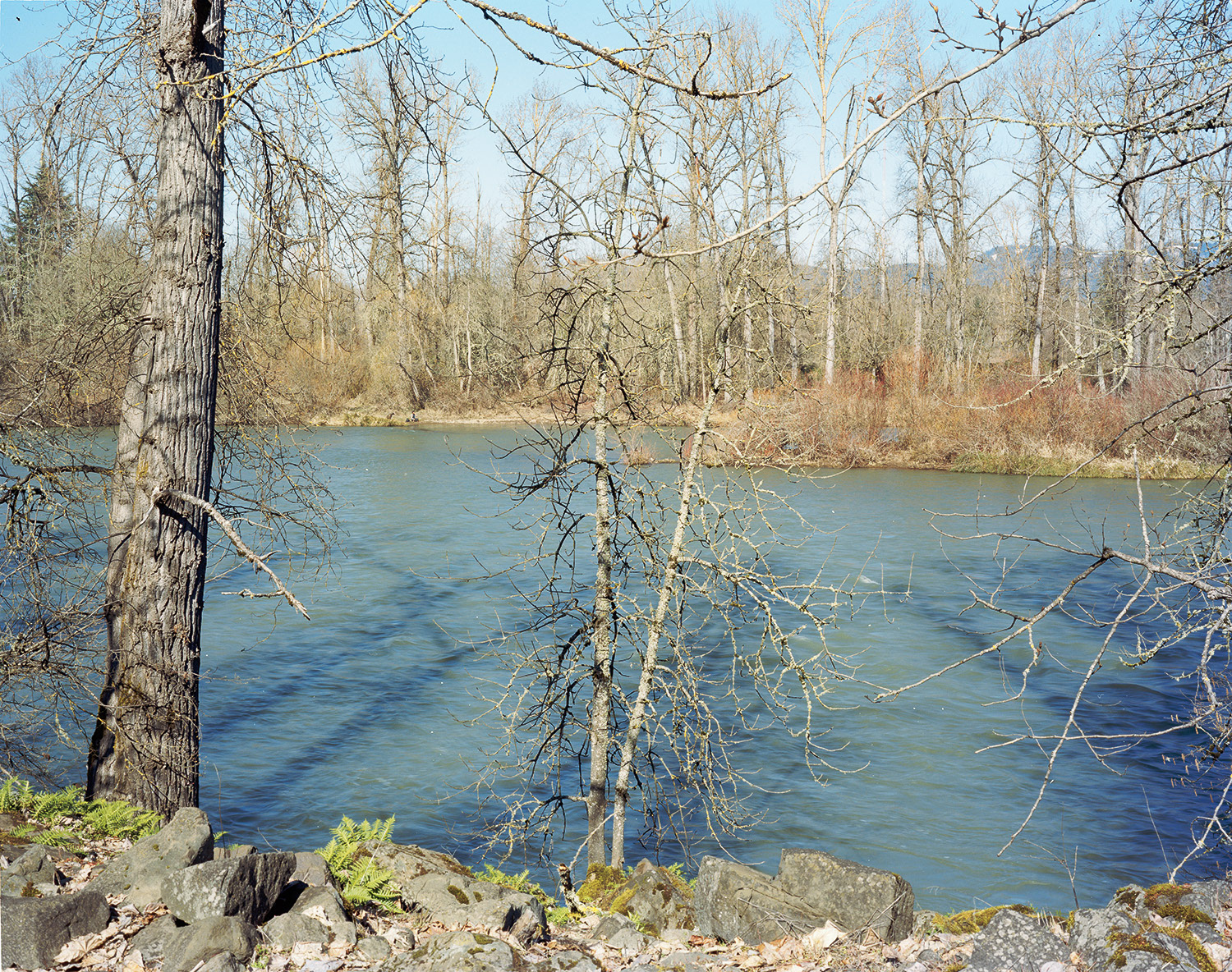 "Man Across River" / 2019