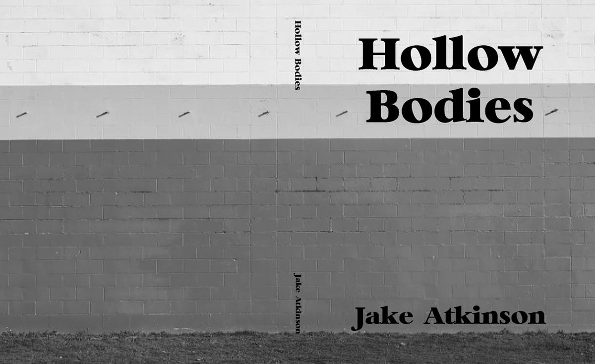 Hard Cover of "Hollow Bodies" 2019