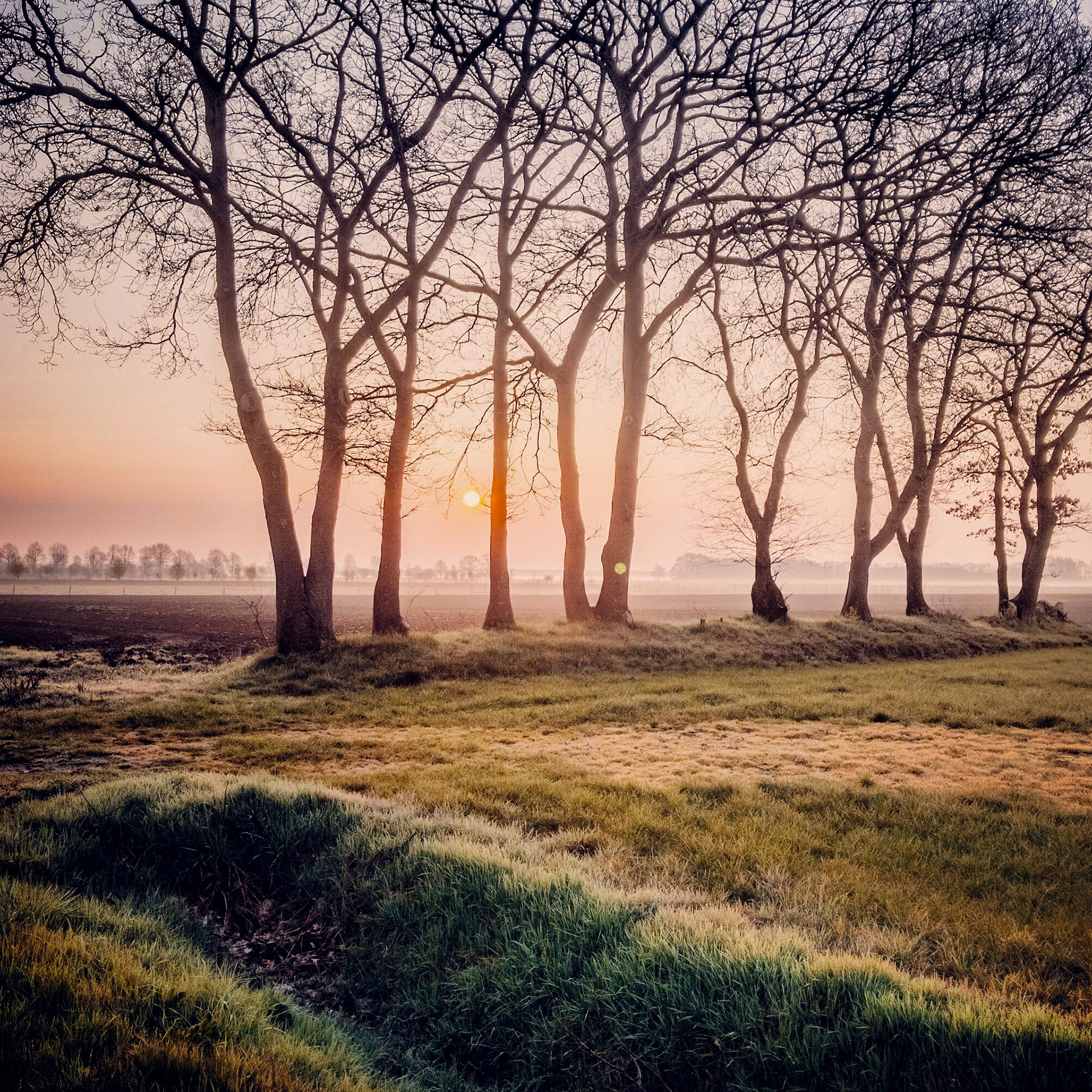Processed with VSCO with m5 preset