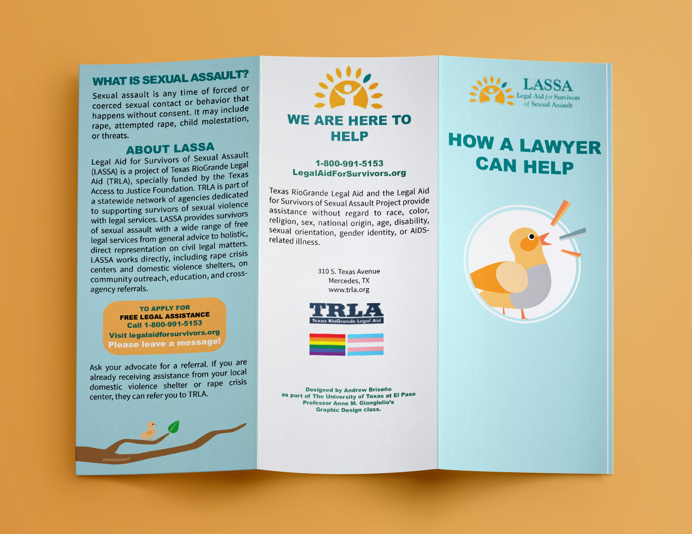 Outside layout of a three panel folder.  LASSA and bird logo on the front panel. Information about the service on the other two panels.