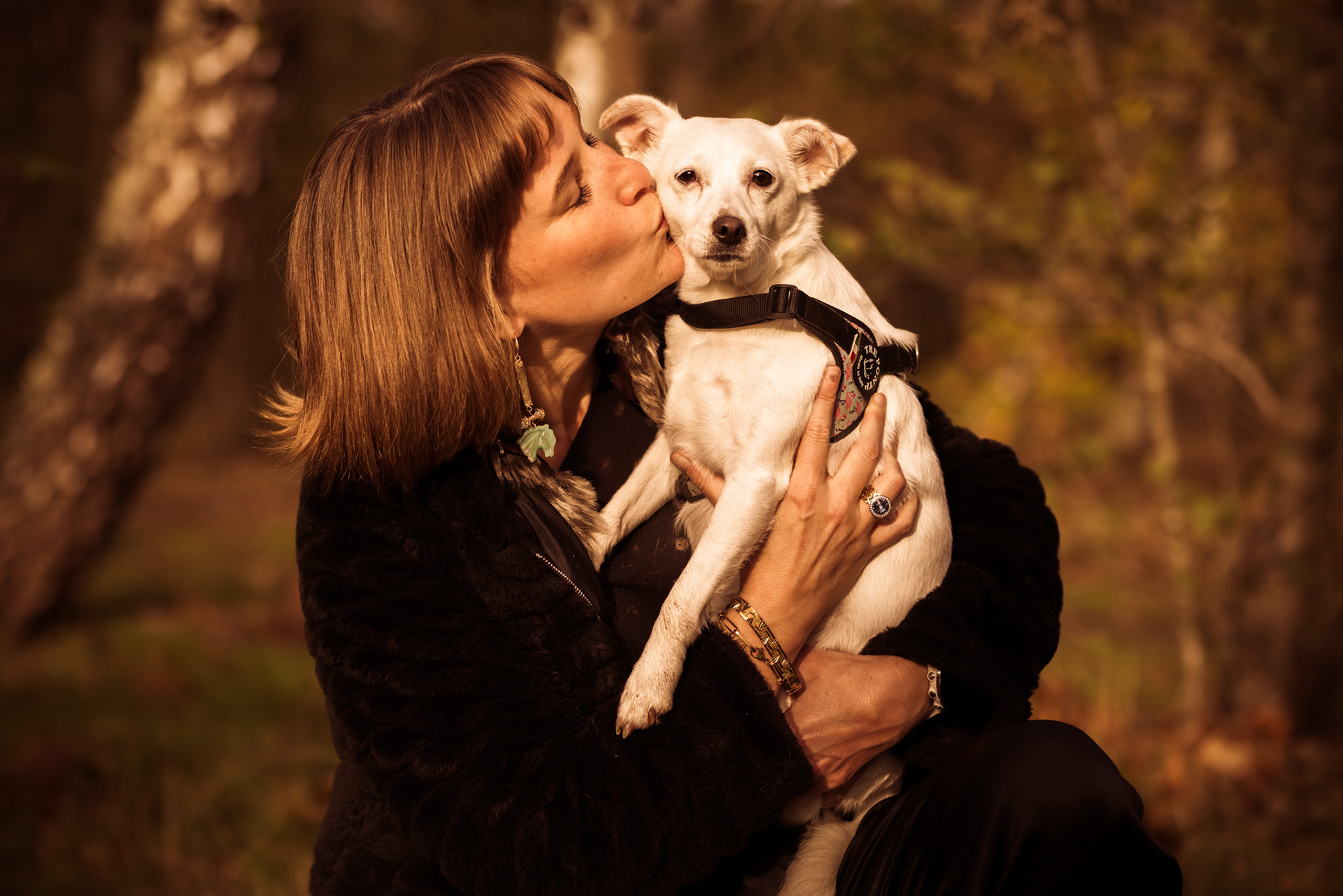 Shoot met honden.