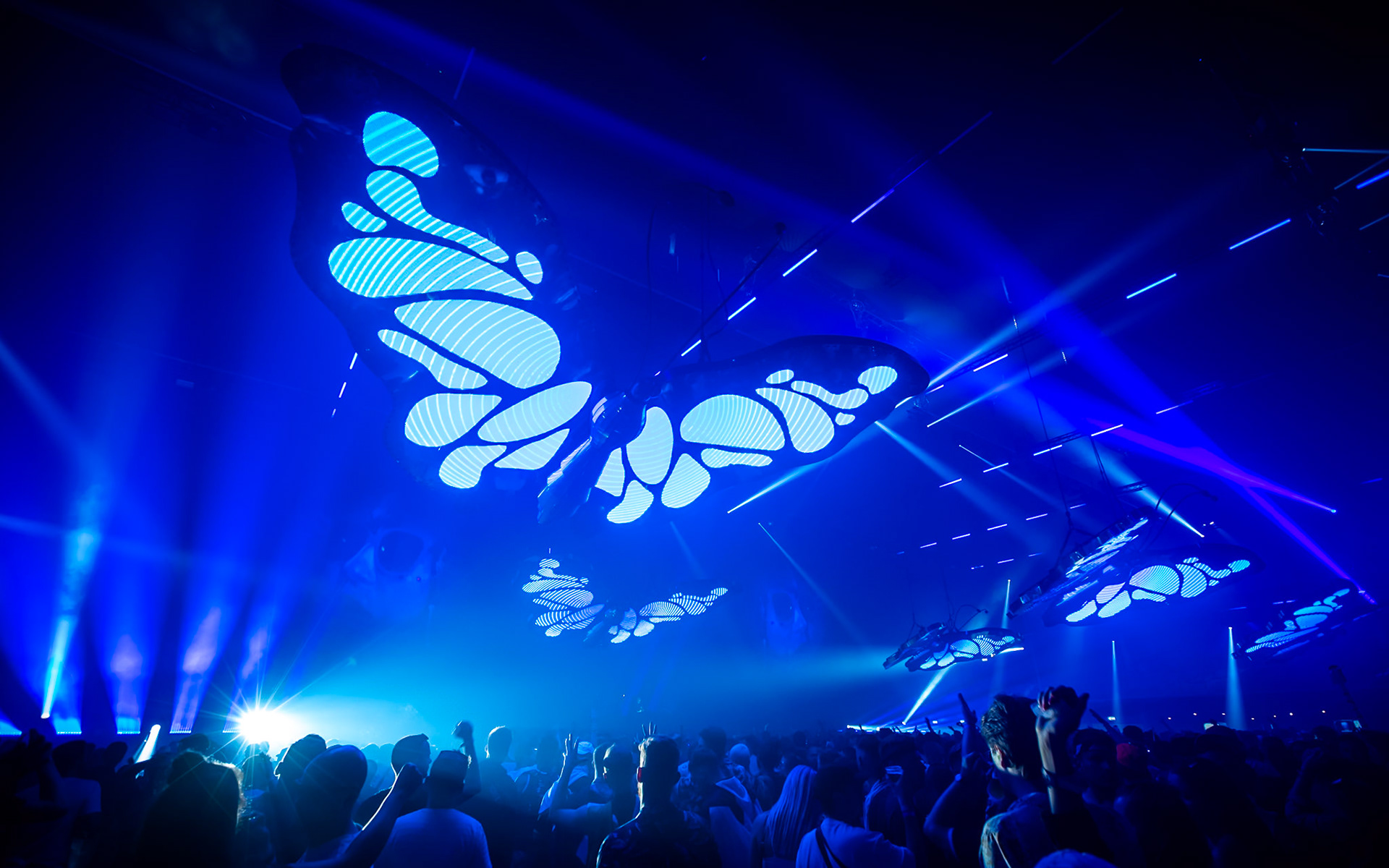 Joris Voorn en vlinders.