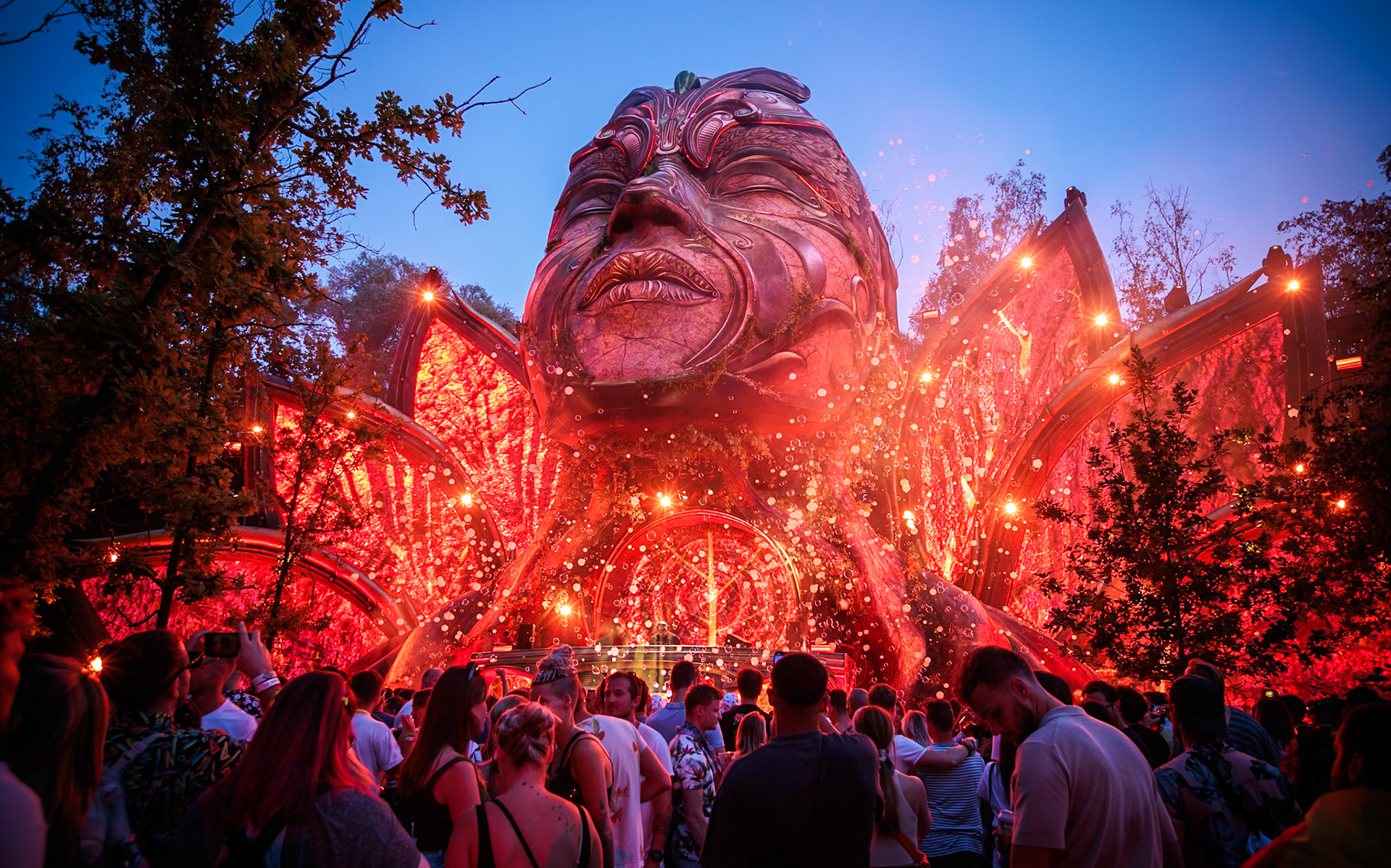 De prachtige Core stage. Deze decor paste perfect in in het bos, het leek er bijna deel van uit te maken.