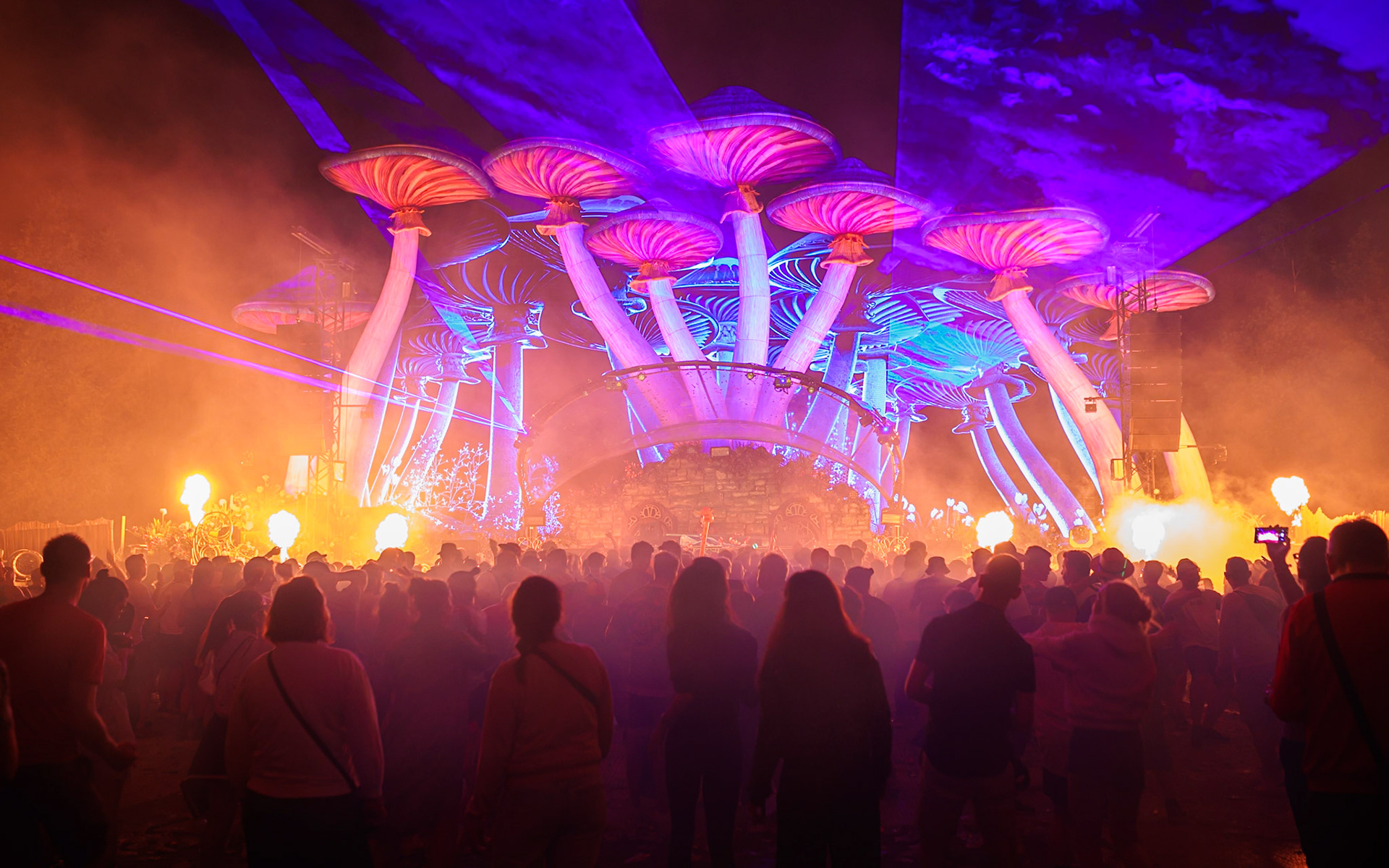 Met Bliss in het prachtige paddenstoelenbos.