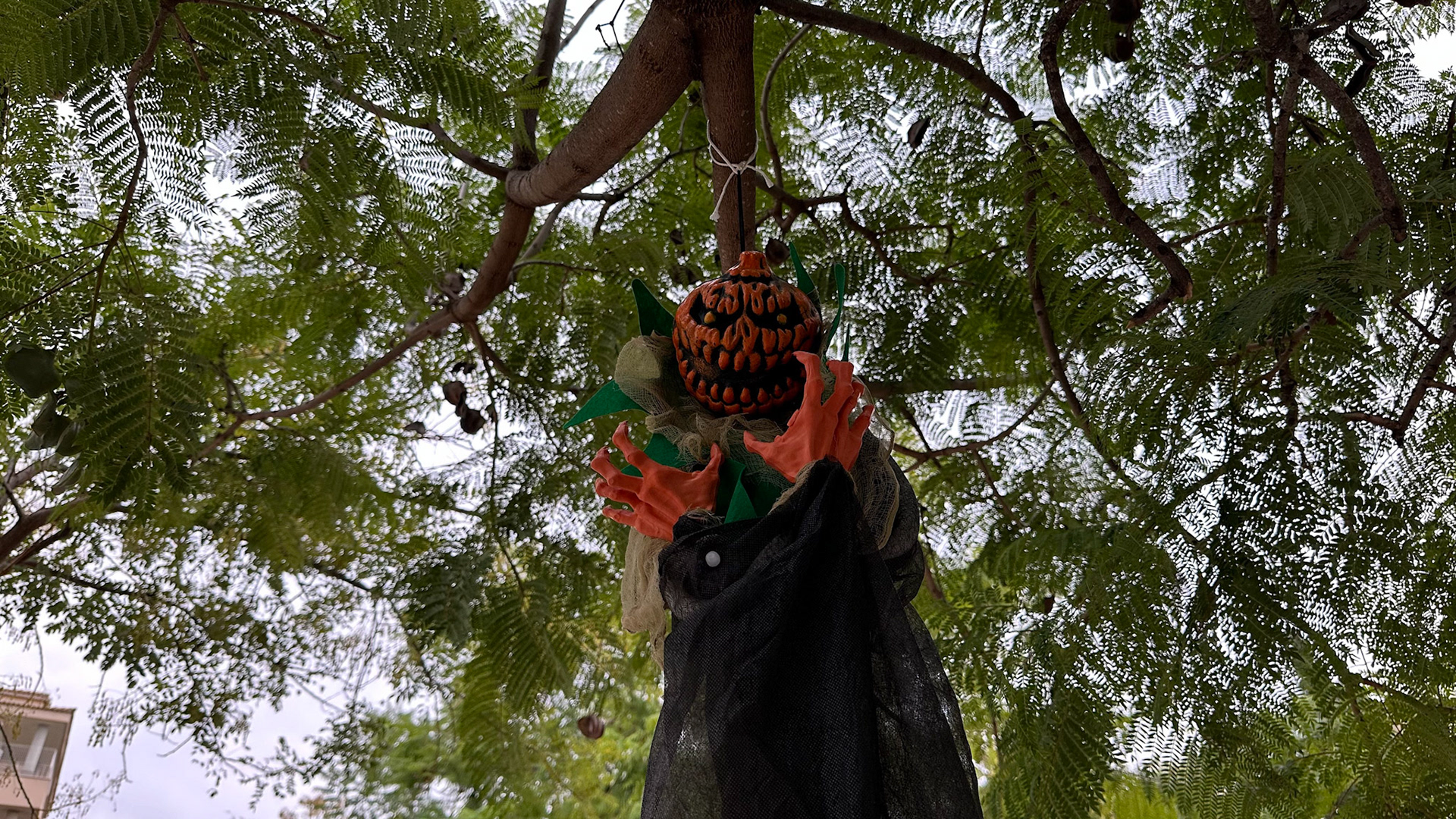 Halloween en Son Caliu