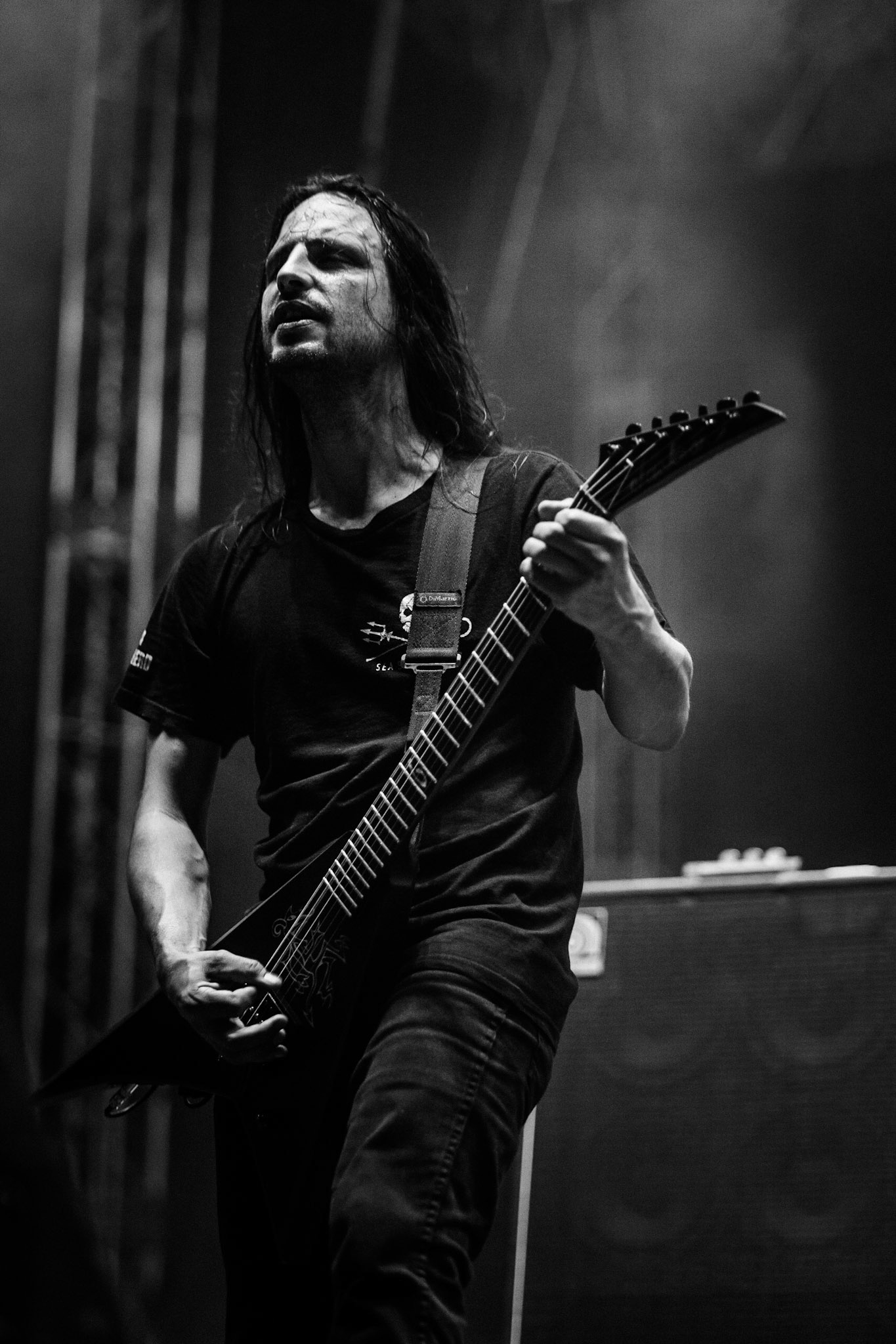 Gojira