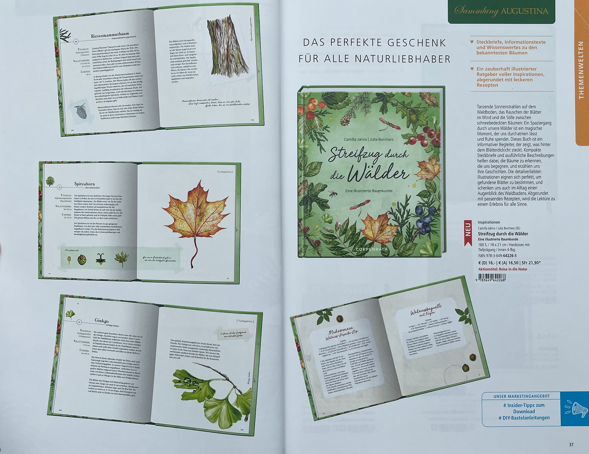 Coppenrath Katalog