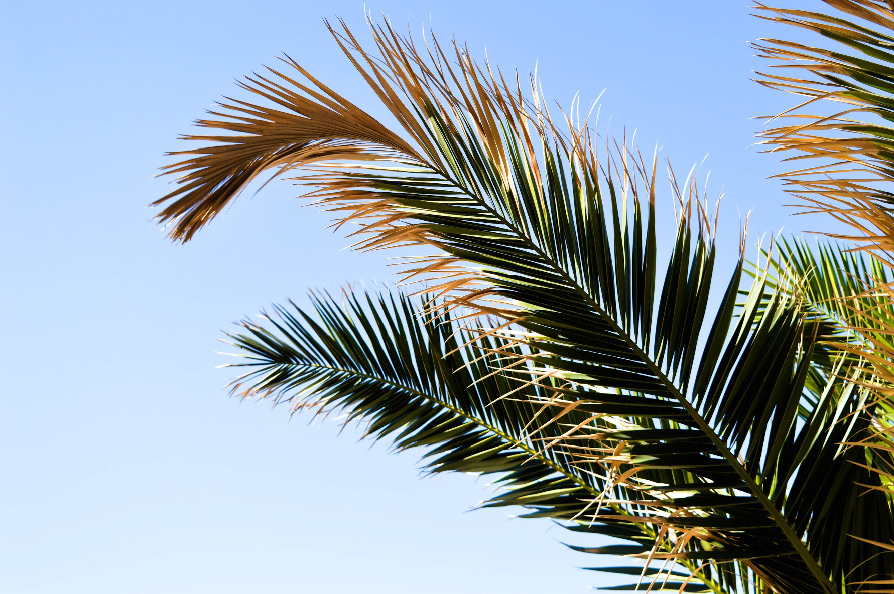 Travel photography - Croatia