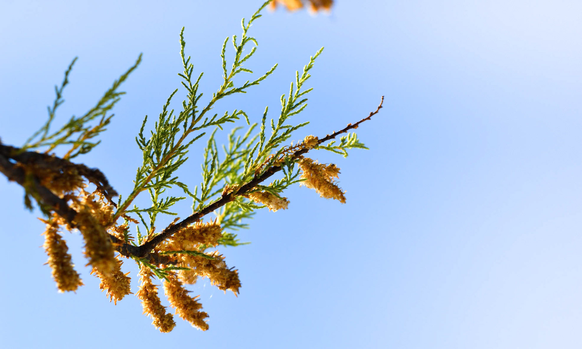 Travel photography - Croatia