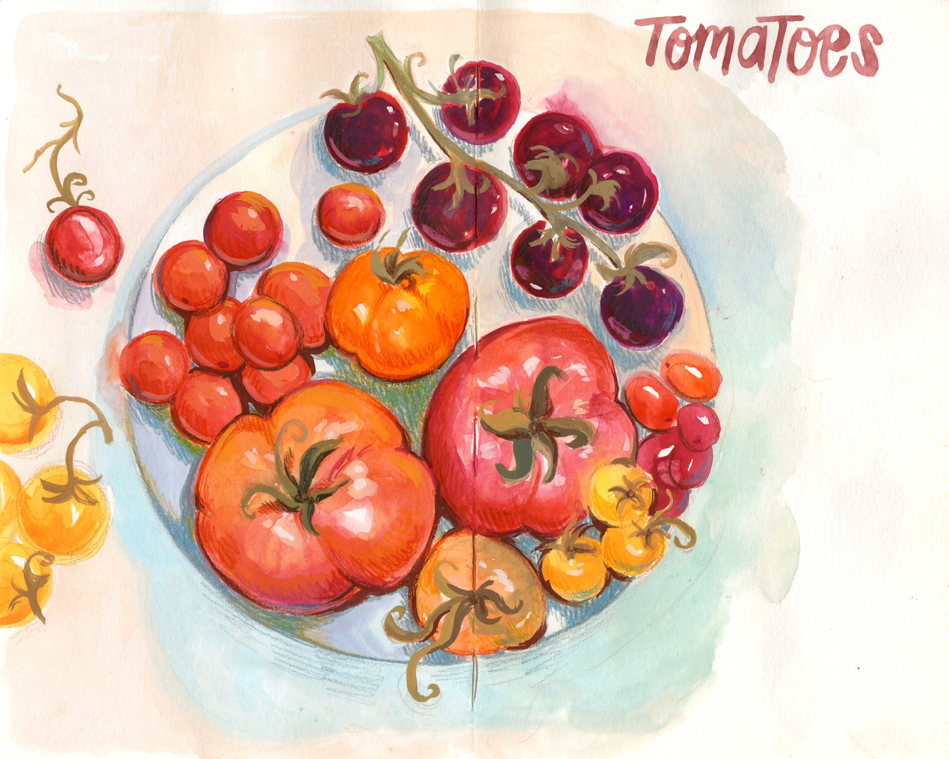 Tomatoes