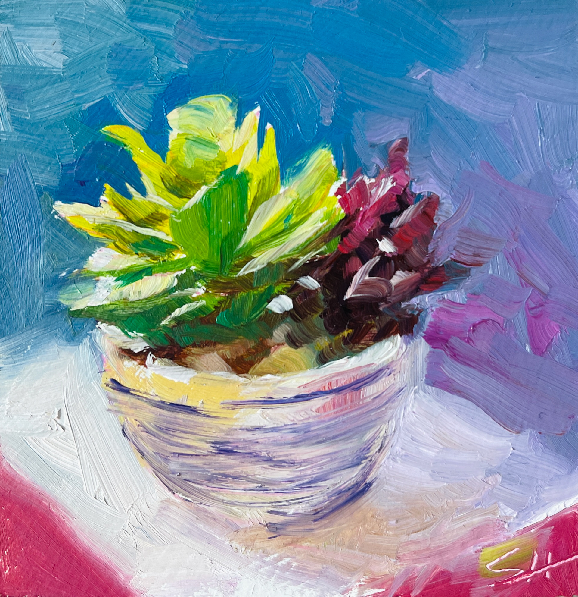 Succulent; 3x3" Oil on masonite