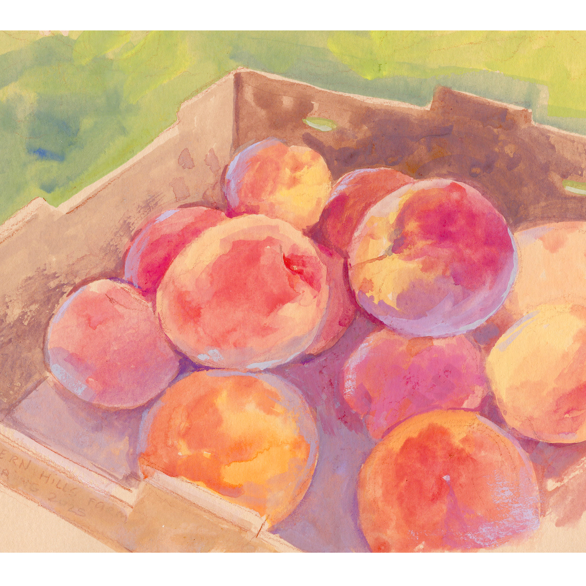 Southern Hills Farm Peaches