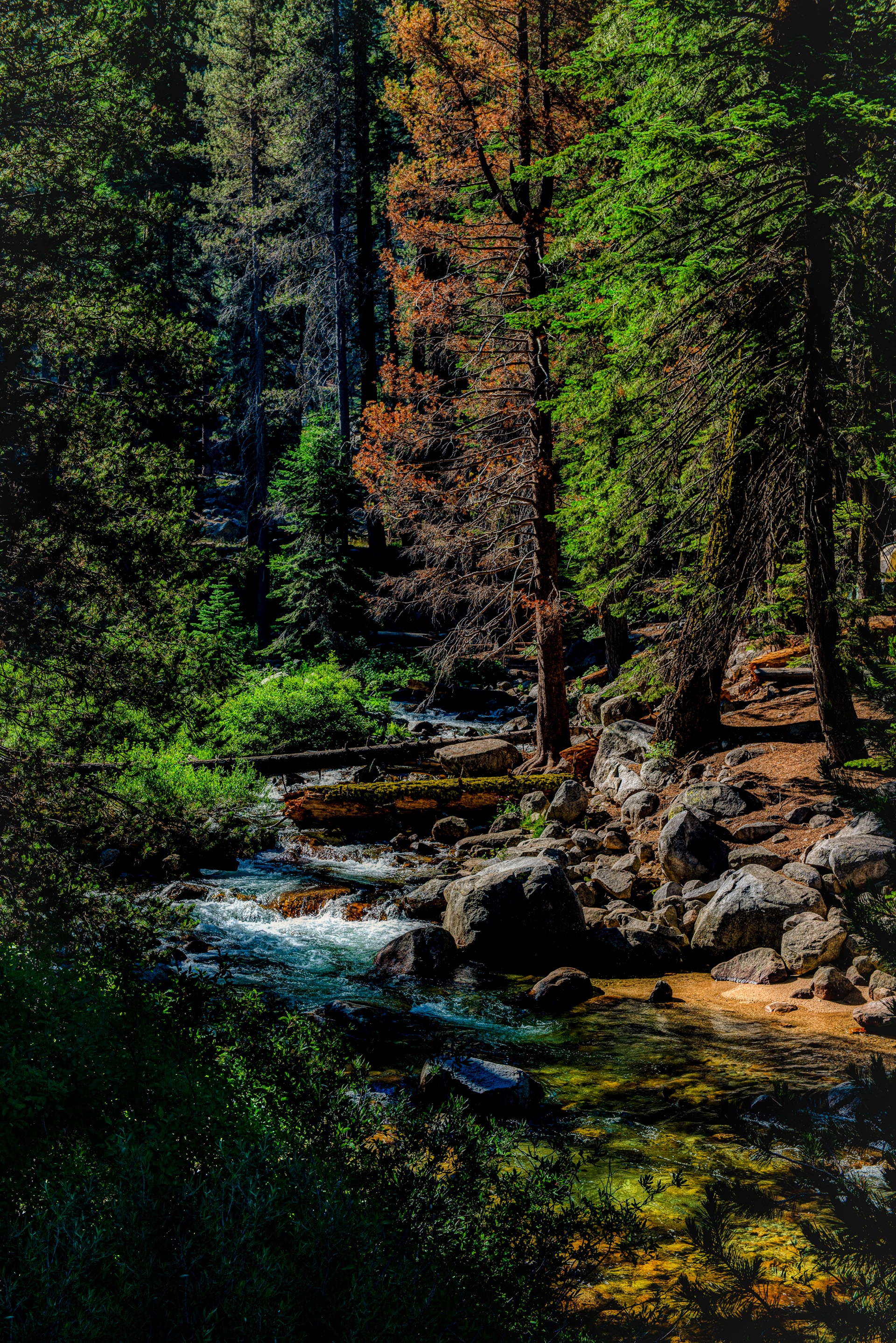 Yosemite National Park, California, USA - 2019