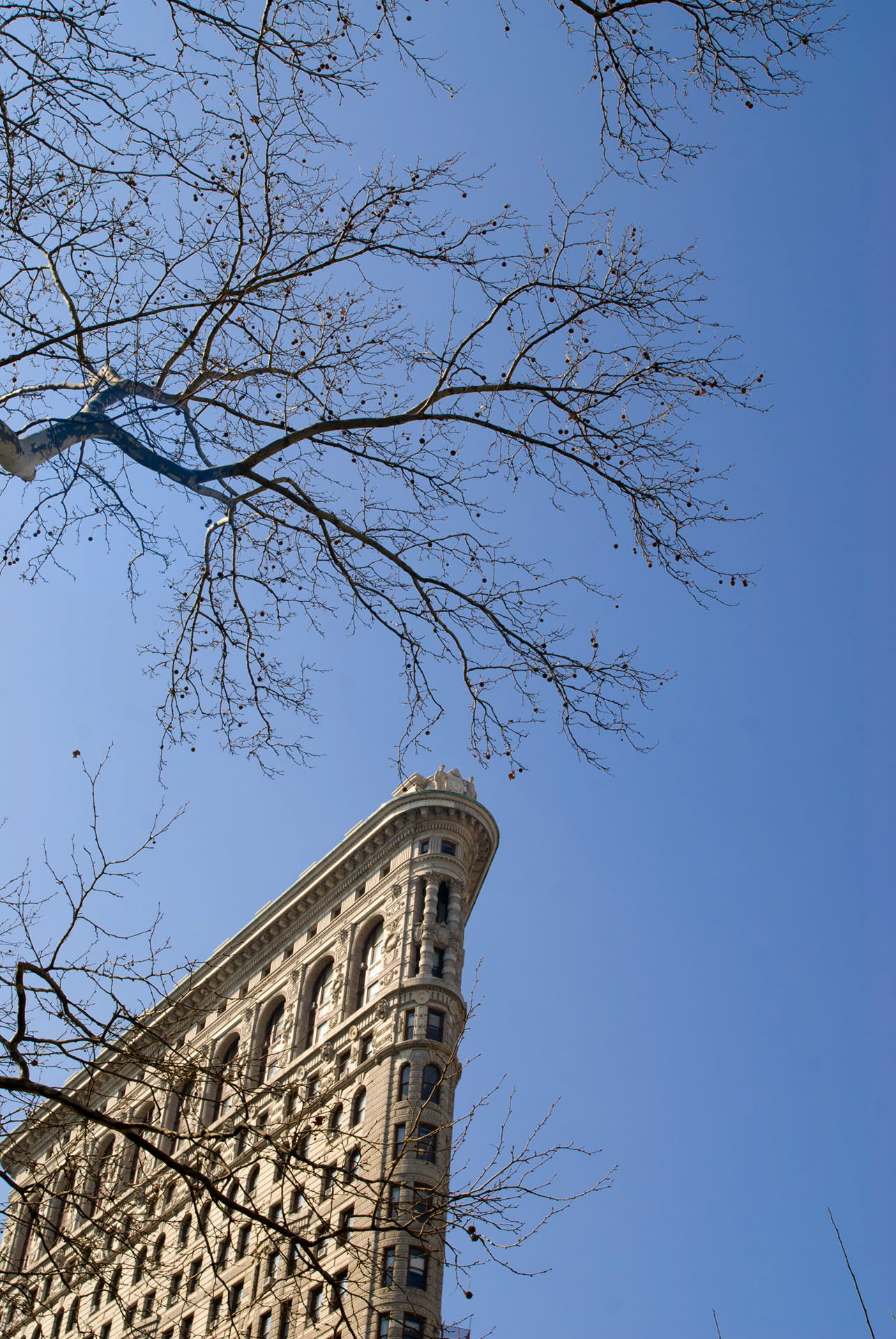 New York, USA - 2008