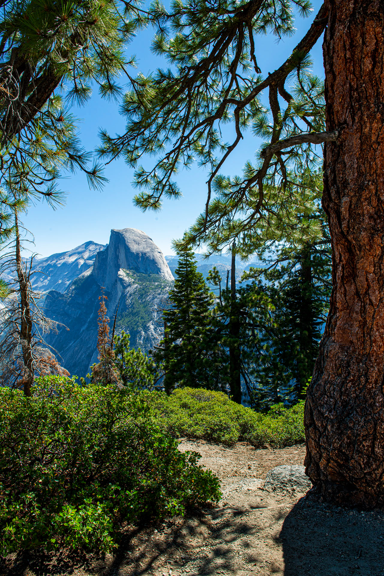 Yosemite National Park, California, USA - 2019