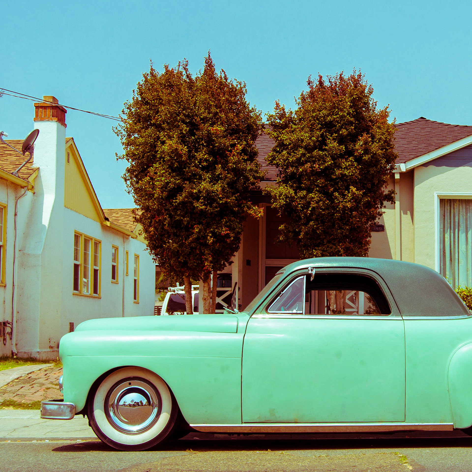 Albany CA, 2008.