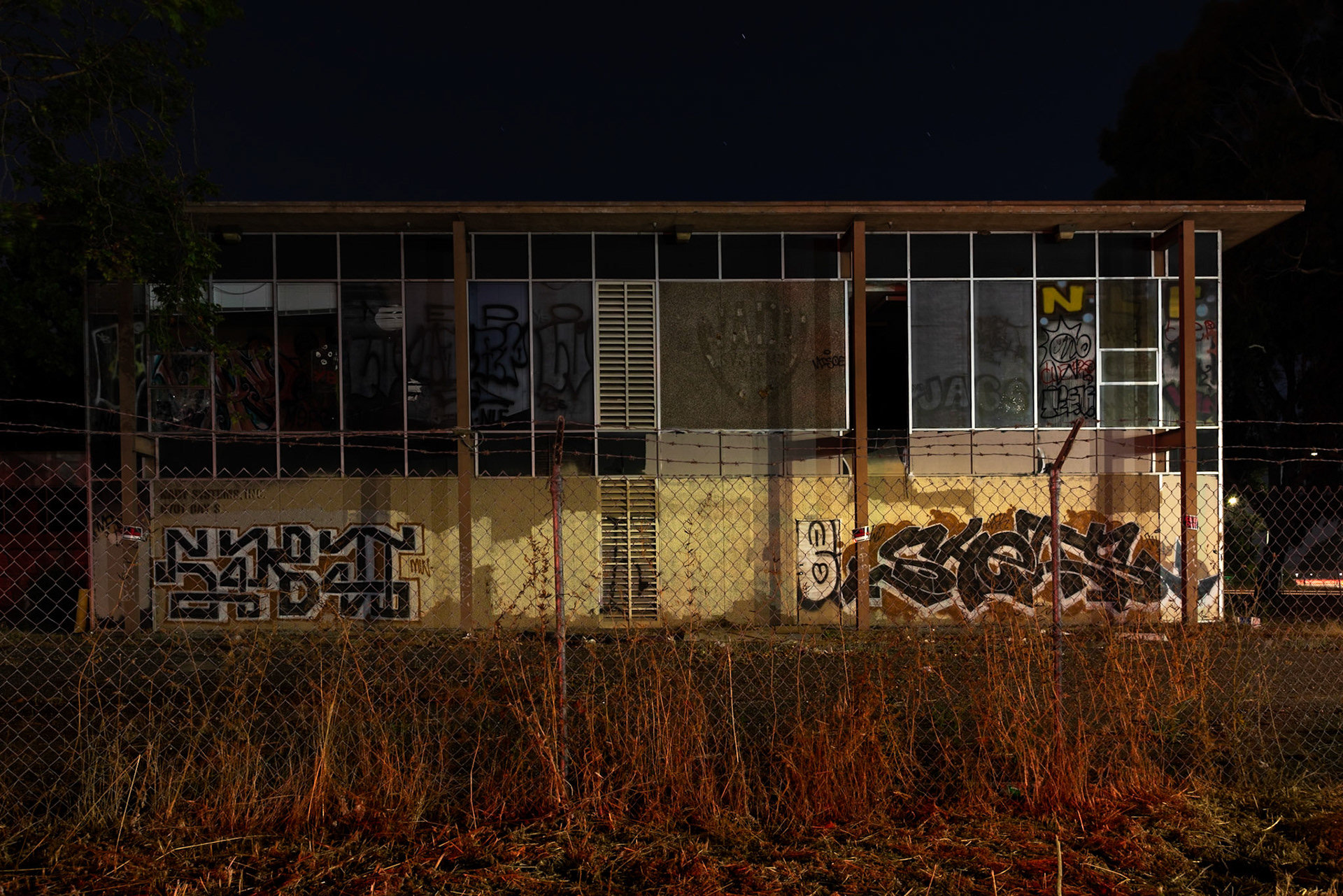 "Nady", Berkeley CA, June 2018