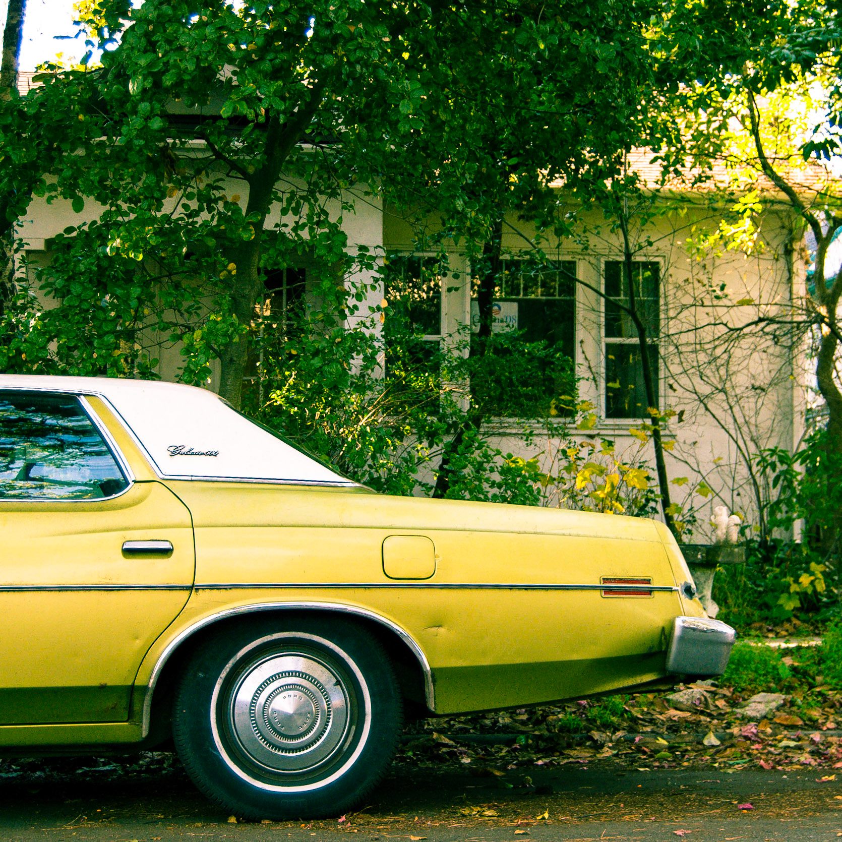 The Green Galaxie